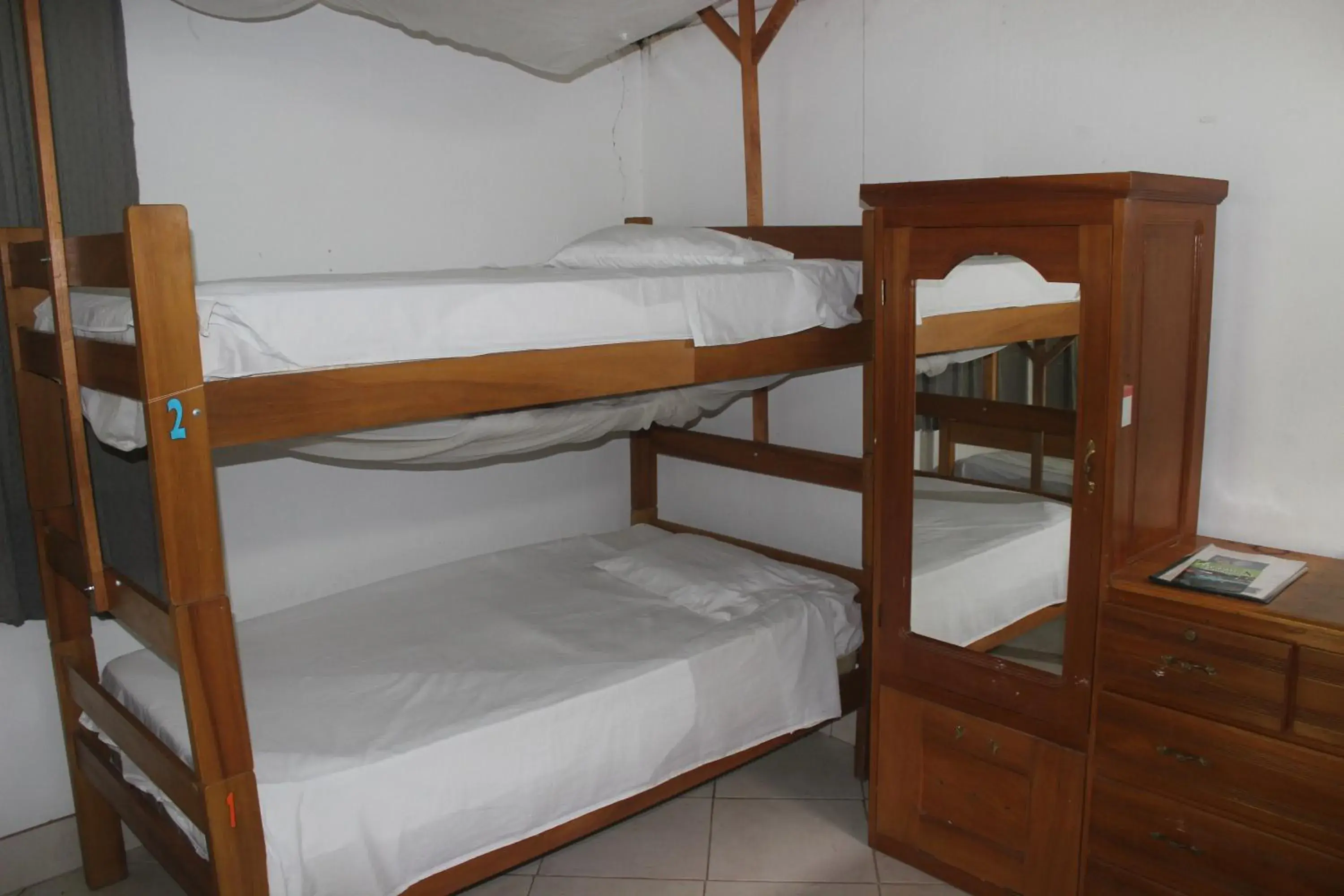 Bed in Male Dormitory Room in Tambopata Hostel Bed in Male Dormitory Room in Tambopata Hostel