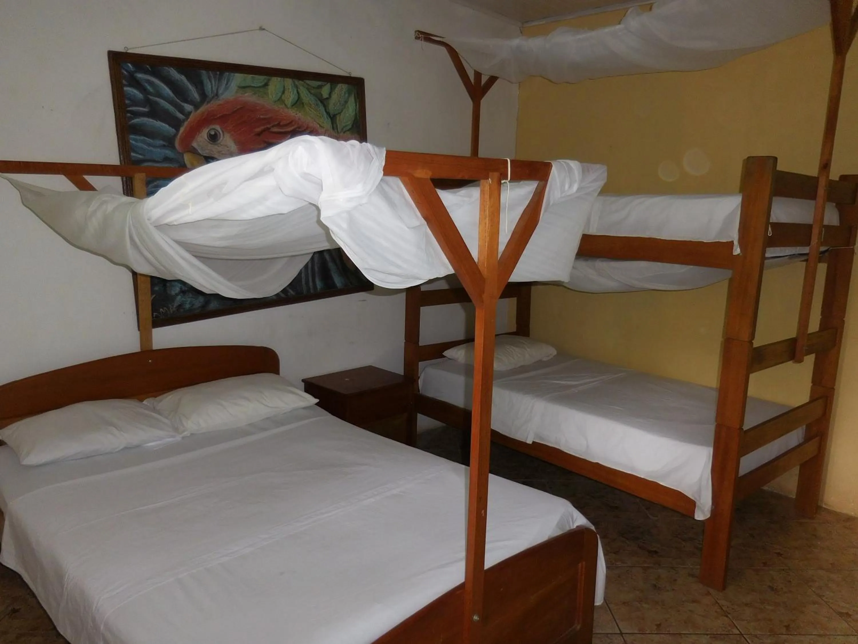Photo of the whole room, Bed in Tambopata Hostel