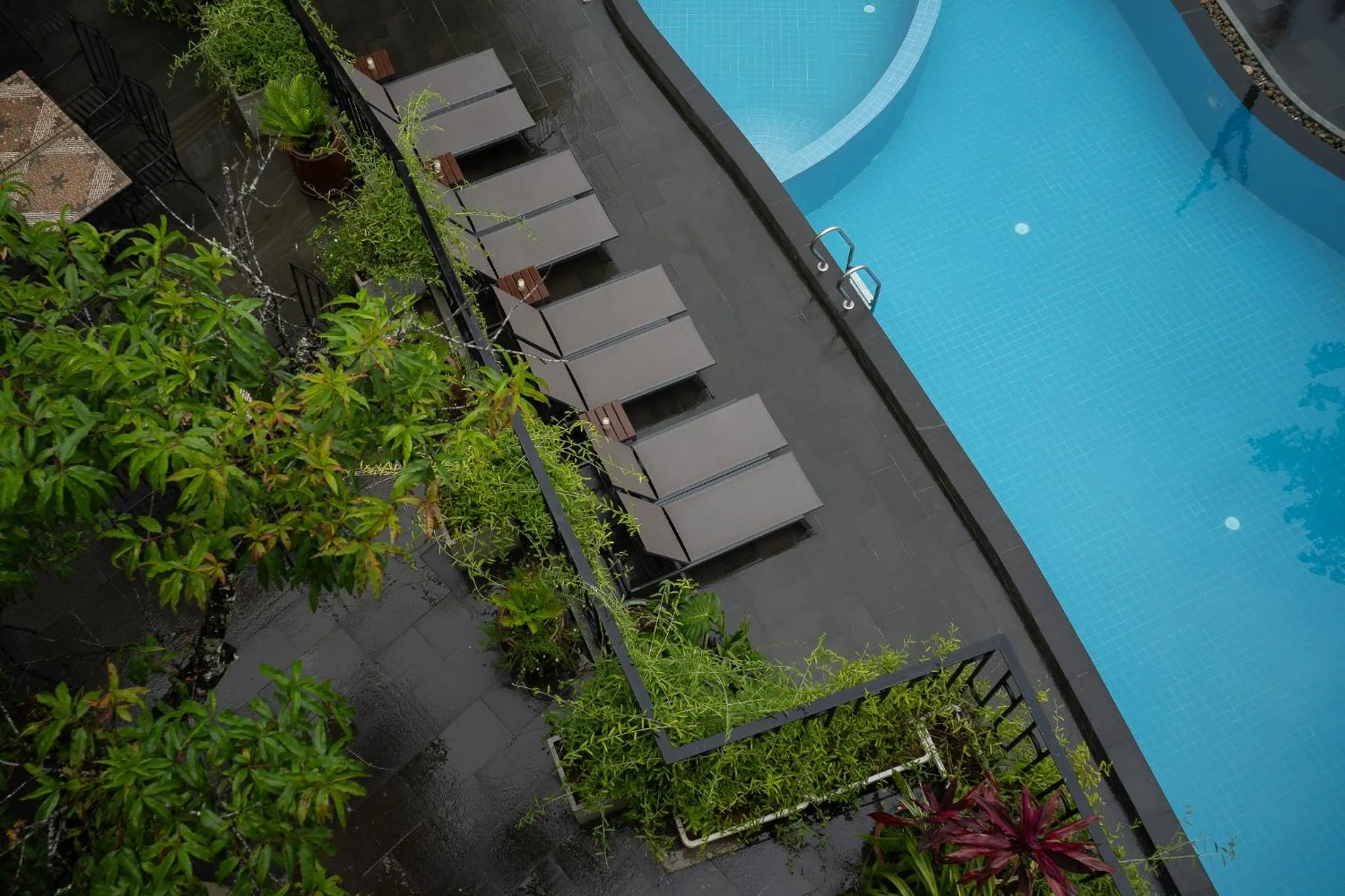 Swimming pool in Goldient Boutique Hotel