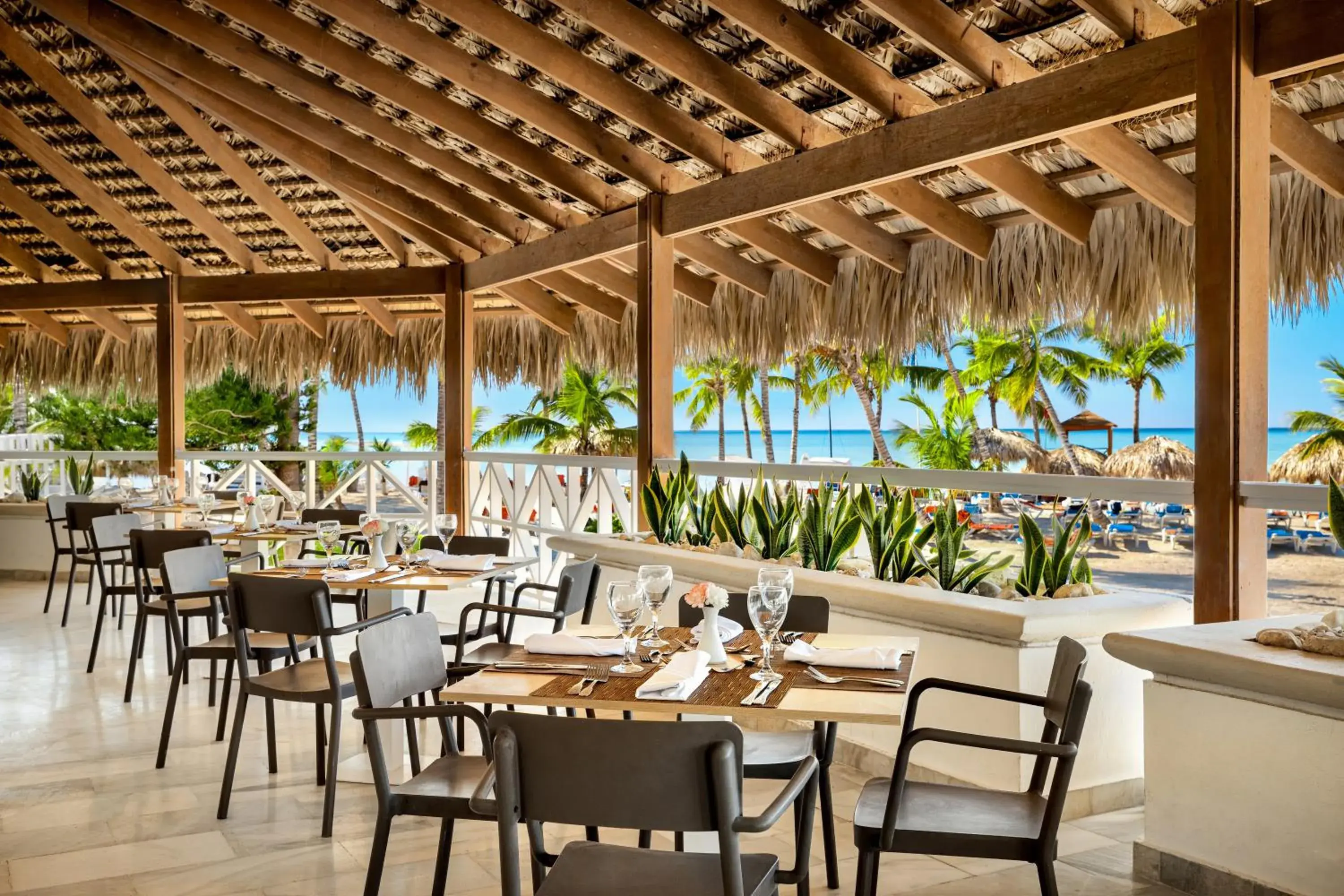 Restaurant/places to eat in Sunscape Dominicus La Romana - All Inclusive Restaurant/places to eat in Sunscape Dominicus La Romana - All Inclusive