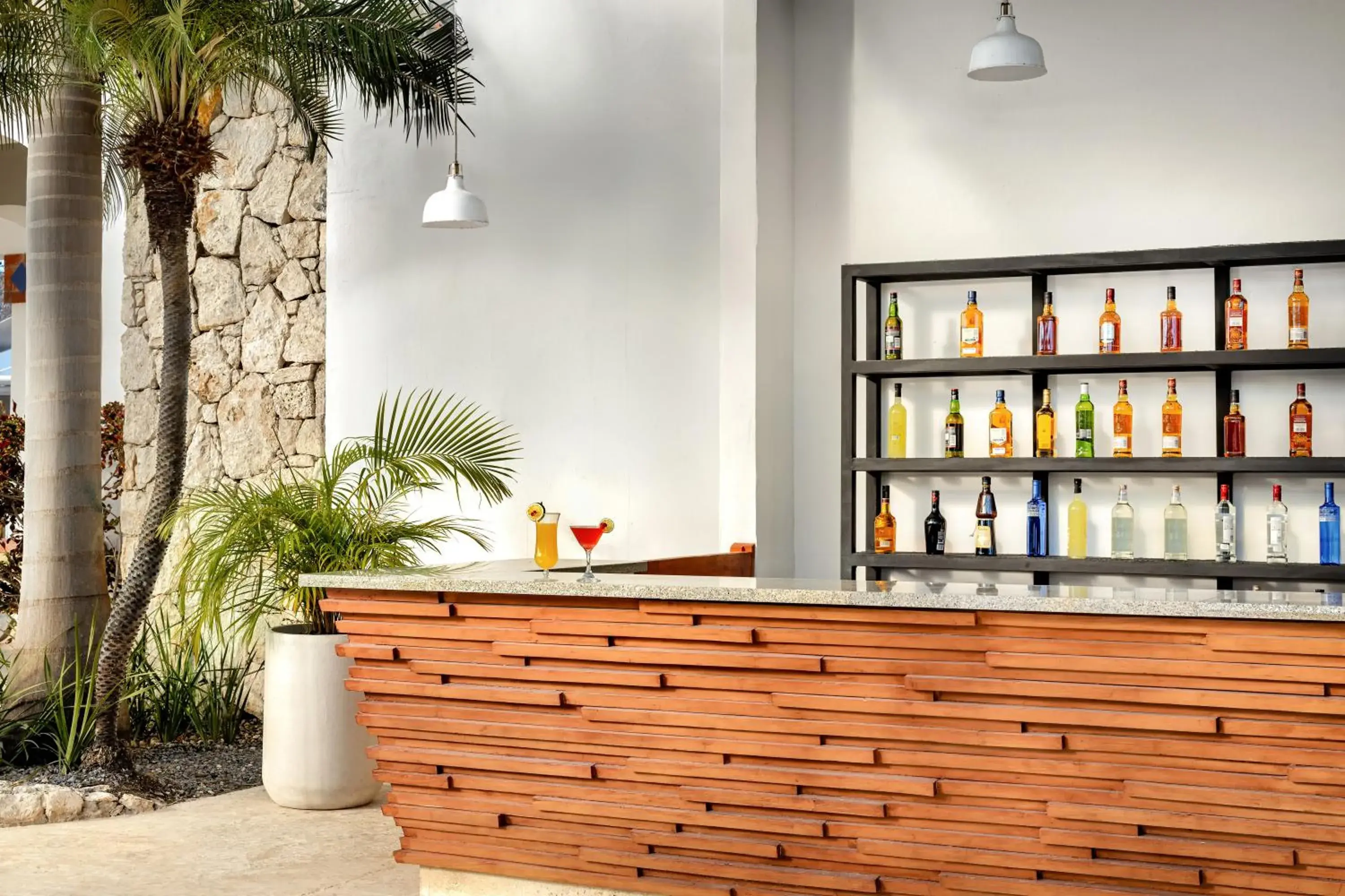 Lounge or bar in Sunscape Dominicus La Romana - All Inclusive Lounge or bar in Sunscape Dominicus La Romana - All Inclusive