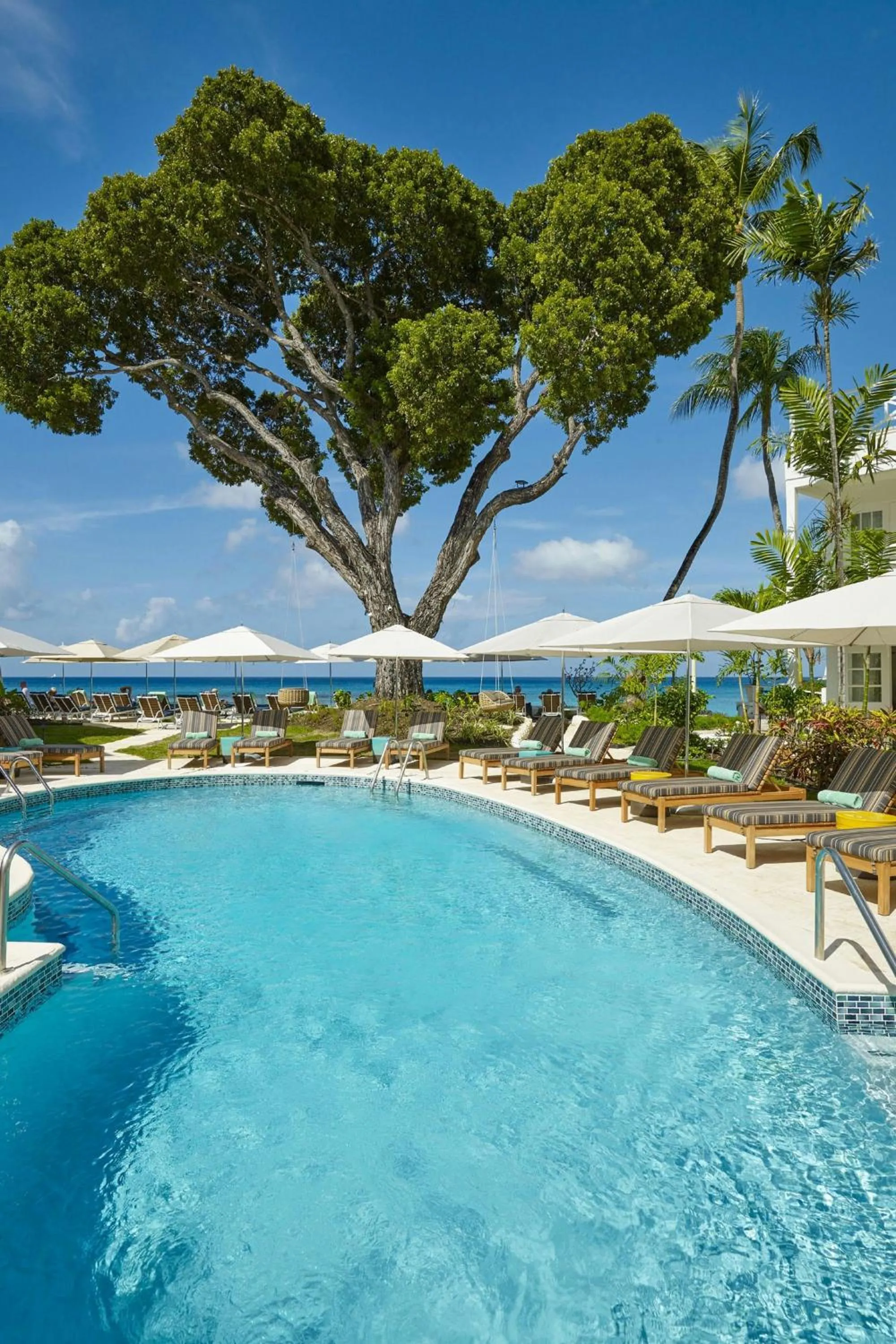 Swimming pool in Treasure Beach by Elegant Hotels - All-Inclusive, Adults Only