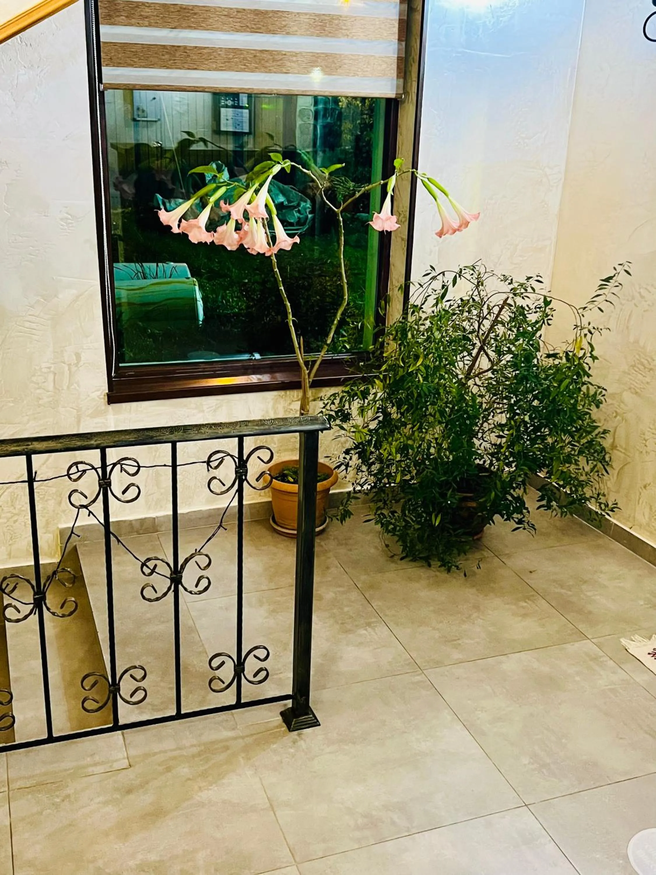 Lobby or reception in Hotel Elite House