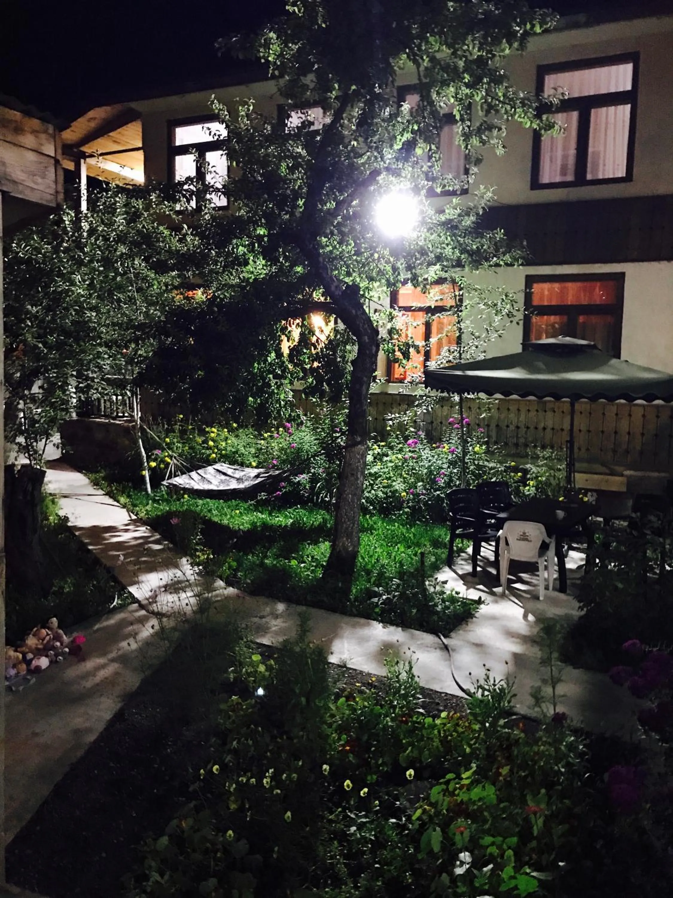 Garden in Hotel Elite House
