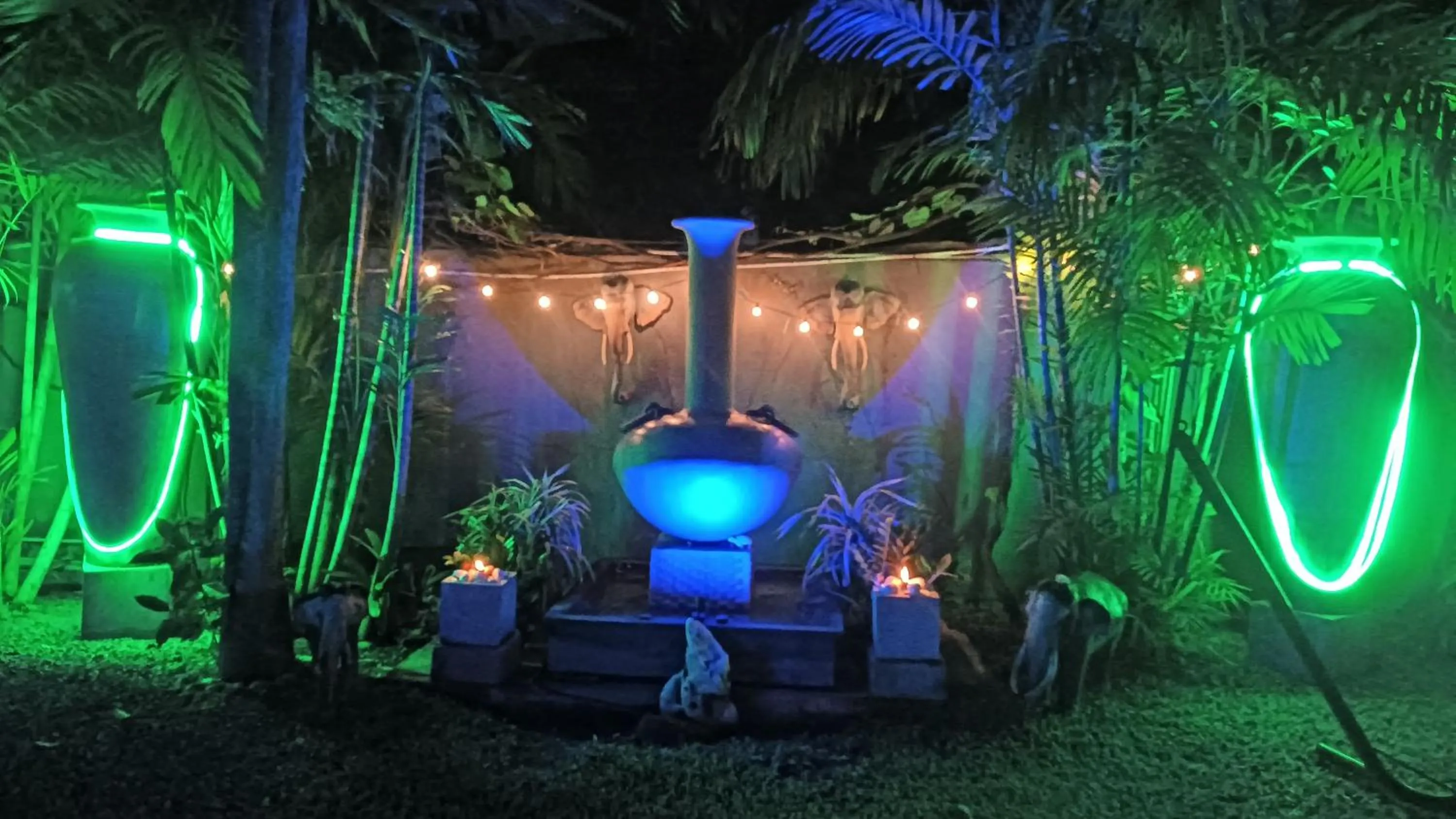 Garden in Palms Villa