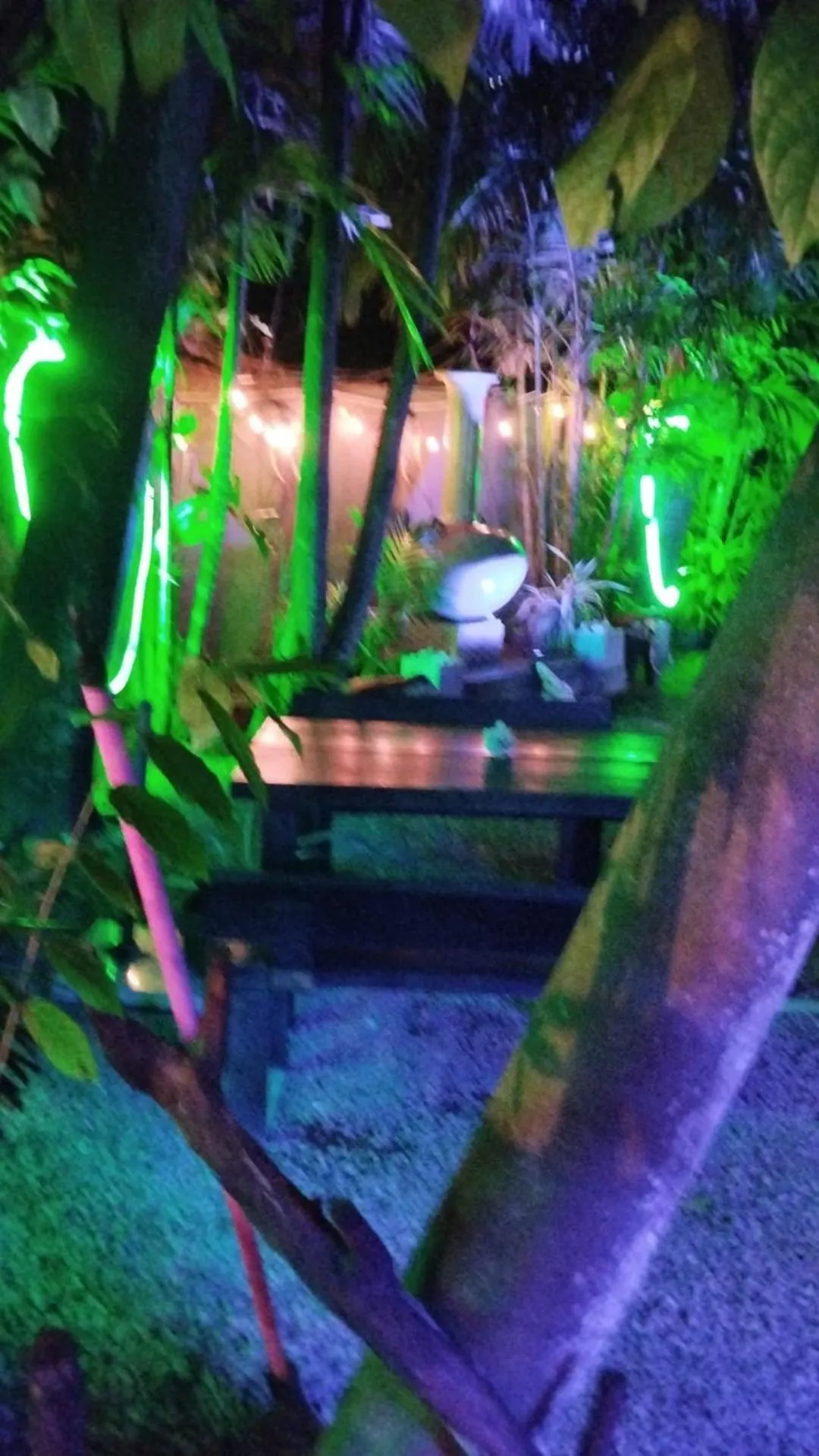 Garden in Palms Villa