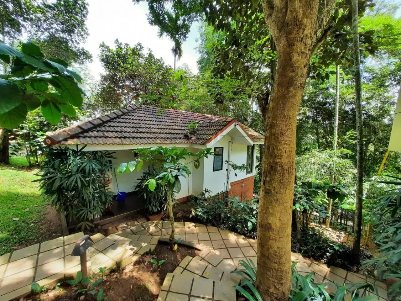 Property building in Willow Resorts Wayanad Property building in Willow Resorts Wayanad
