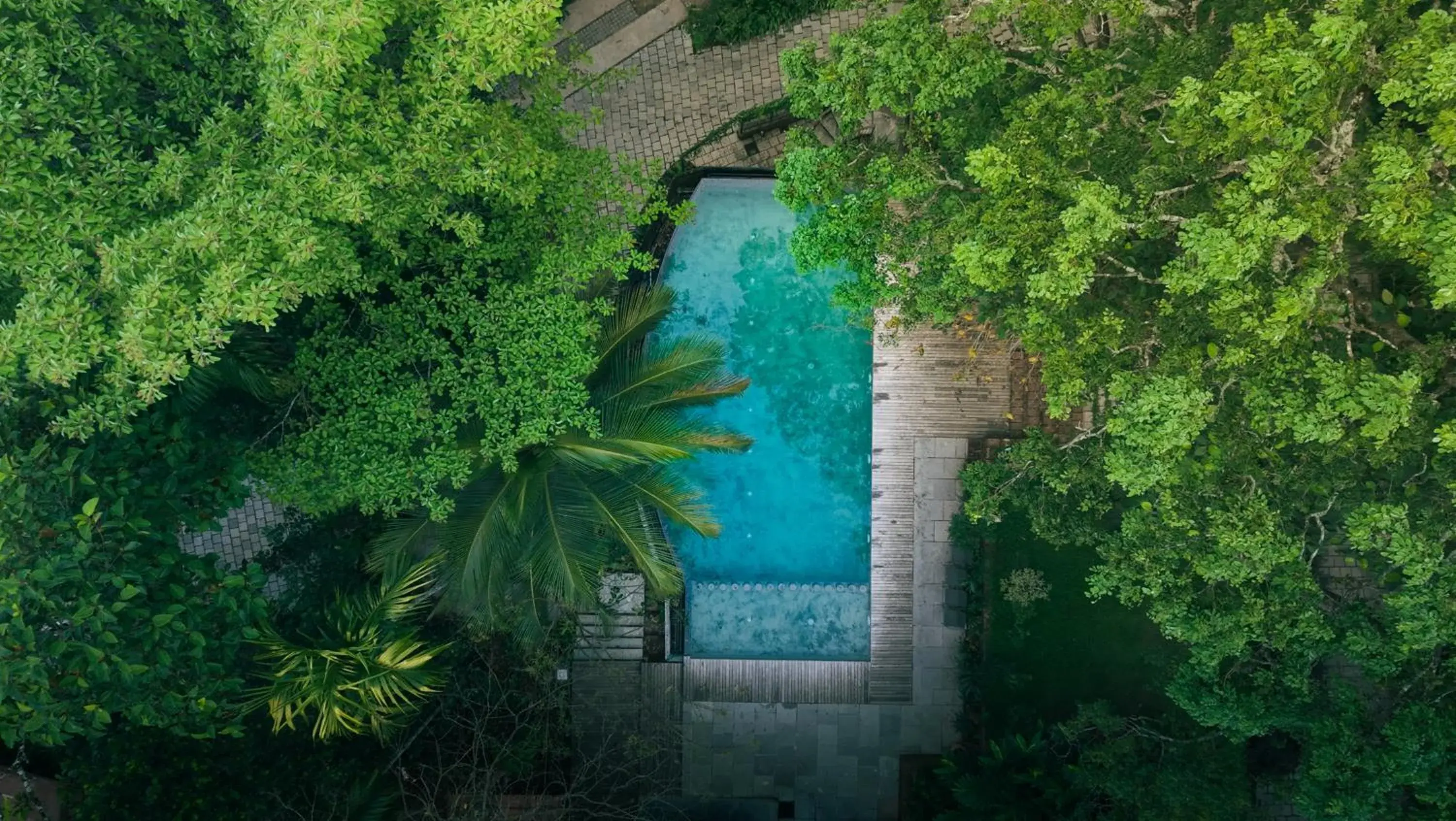 Swimming pool in Willow Resorts Wayanad Swimming pool in Willow Resorts Wayanad