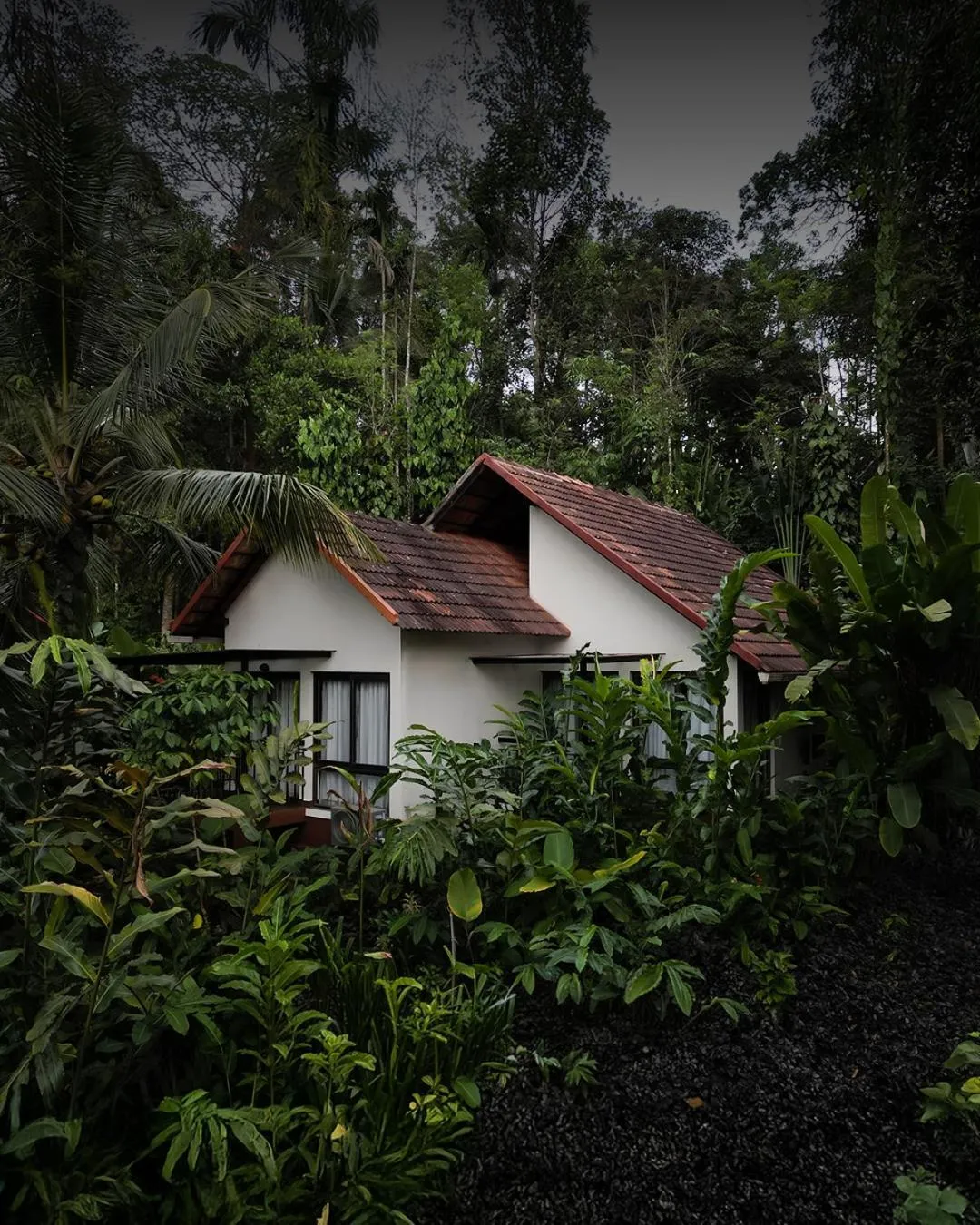Garden view in Willow Resorts Wayanad