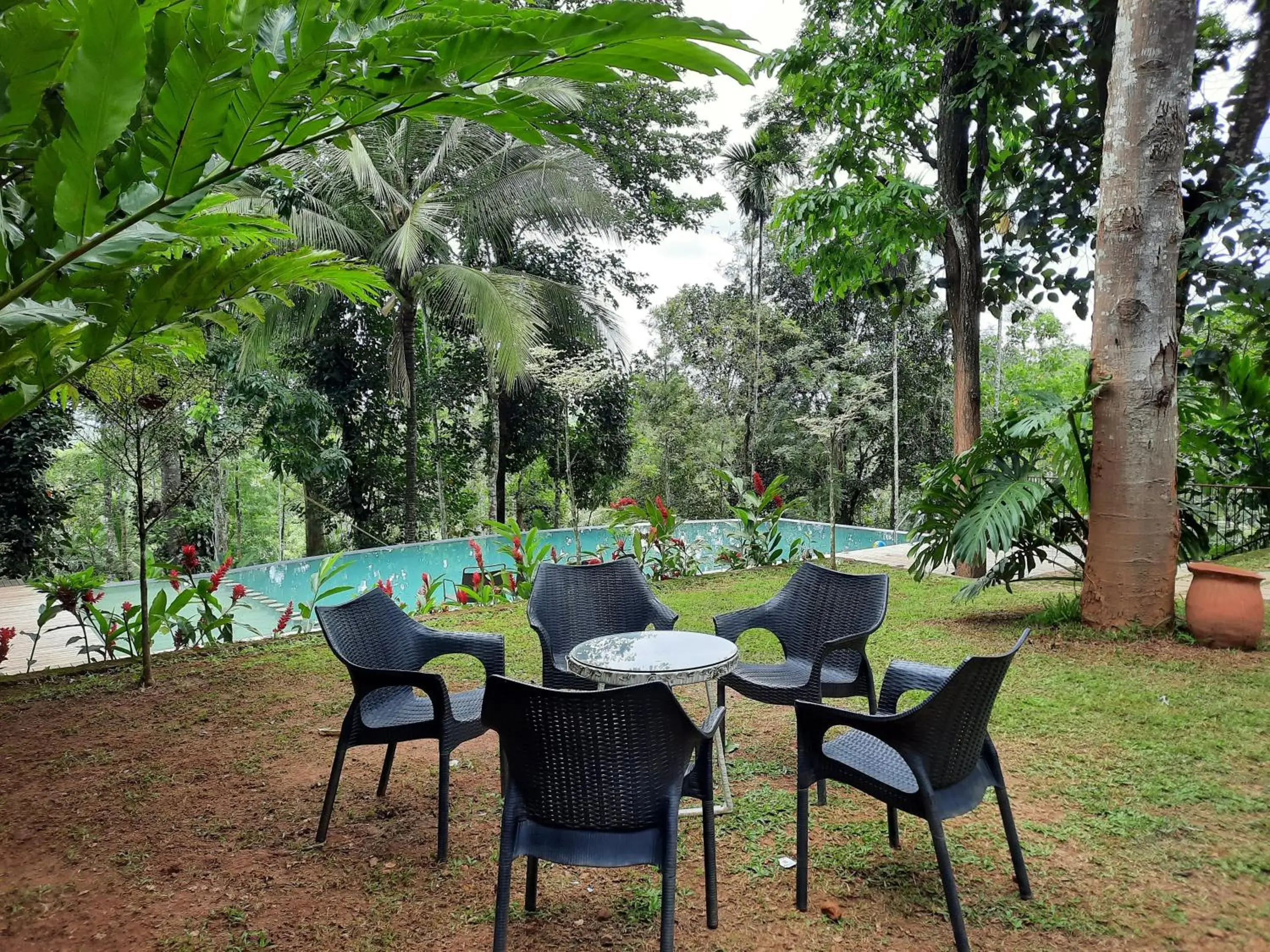 Swimming pool in Willow Resorts Wayanad Swimming pool in Willow Resorts Wayanad