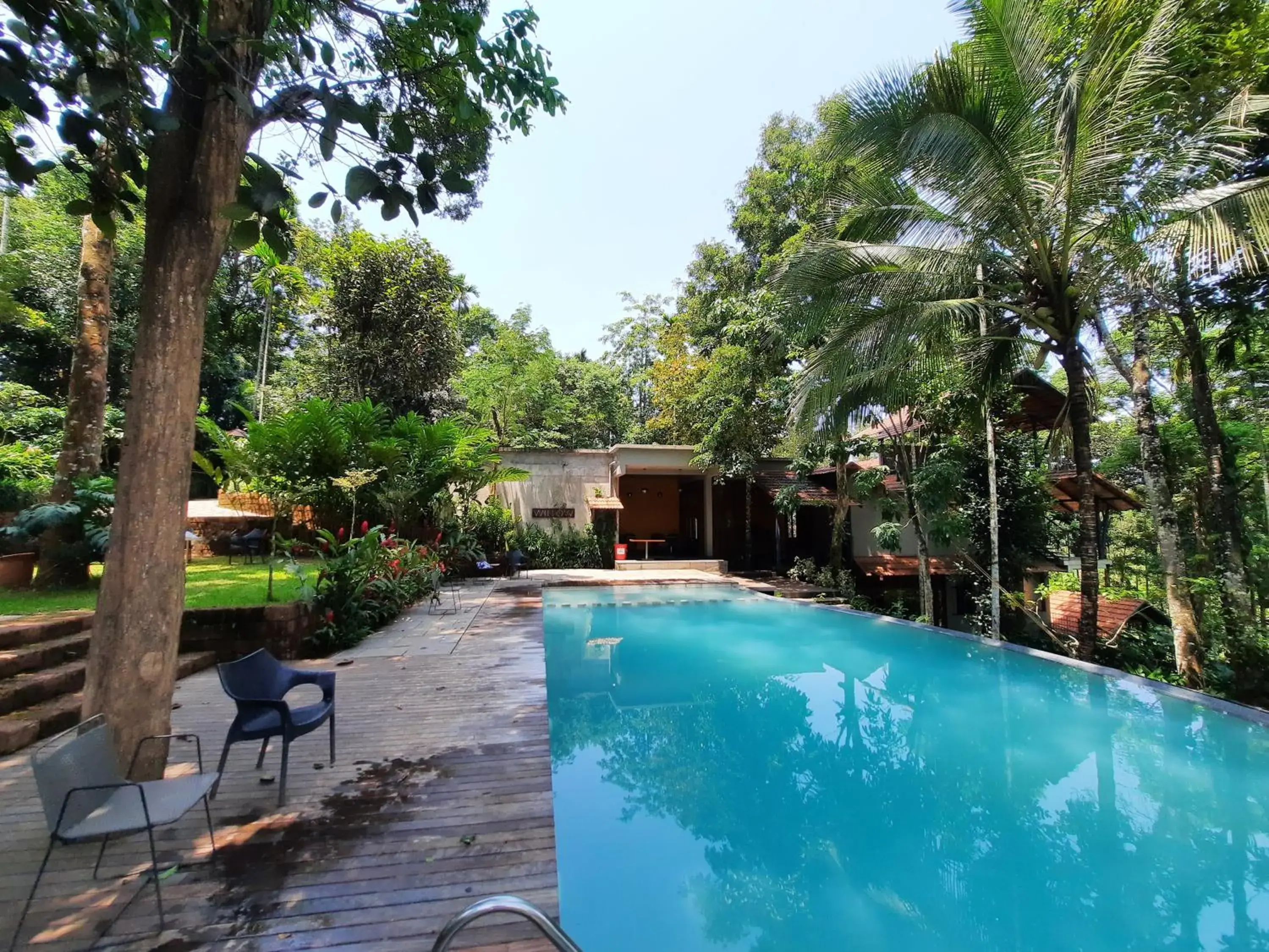 Pool view in Willow Resorts Wayanad Pool view in Willow Resorts Wayanad