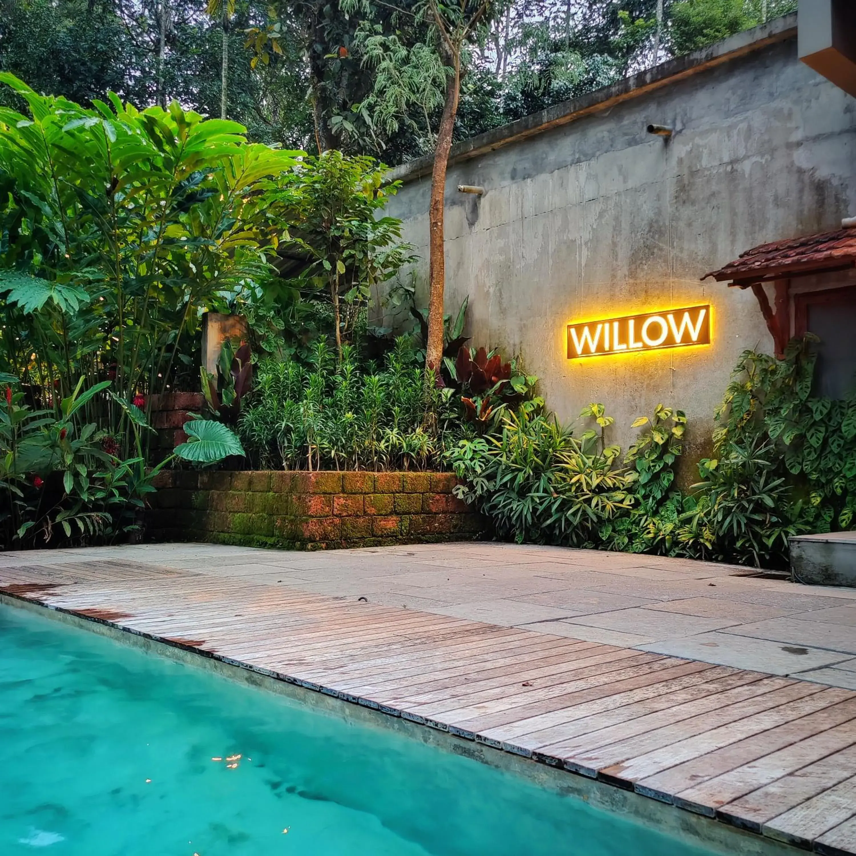 Pool view in Willow Resorts Wayanad Pool view in Willow Resorts Wayanad