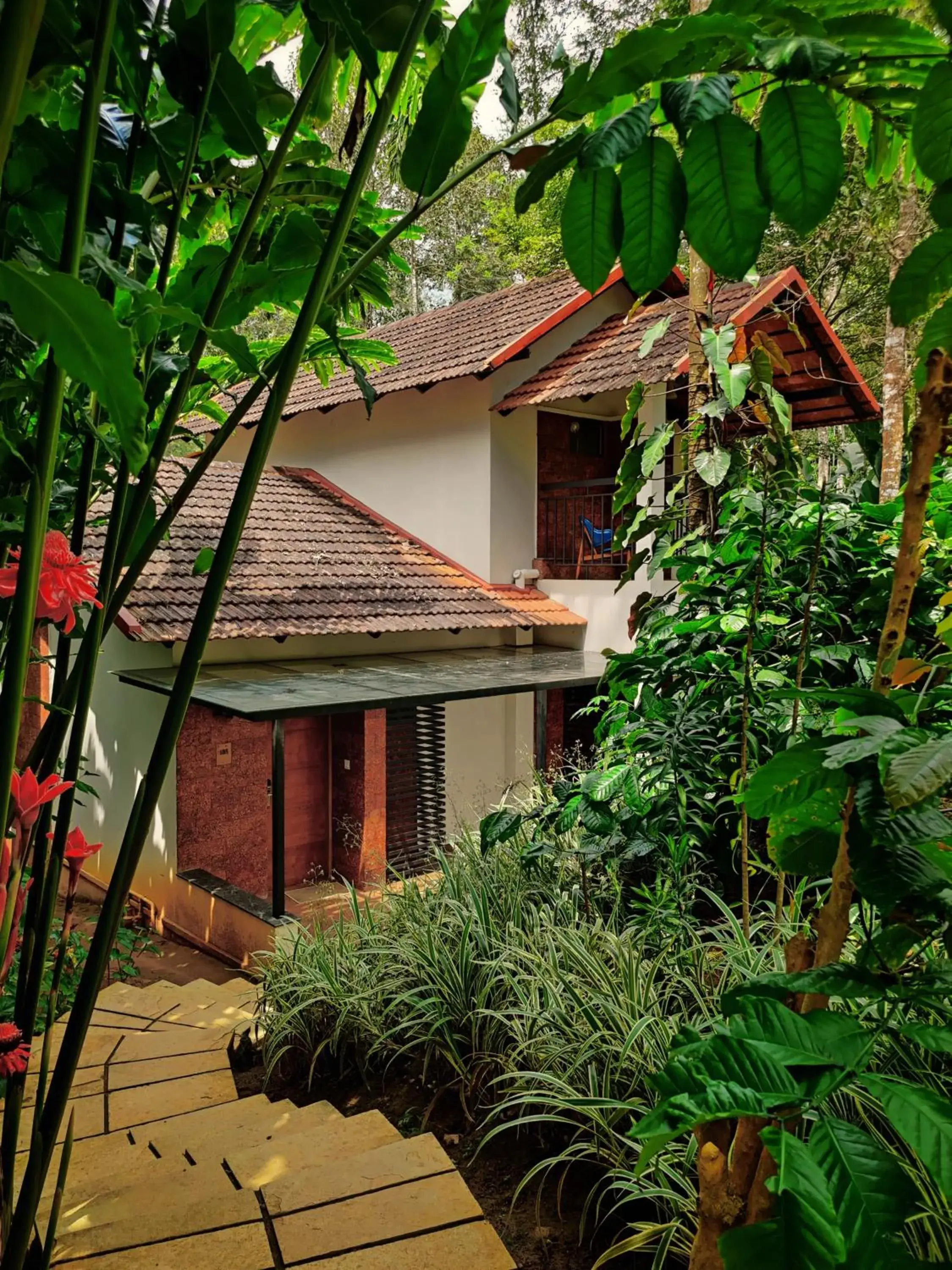 Property building in Willow Resorts Wayanad Property building in Willow Resorts Wayanad