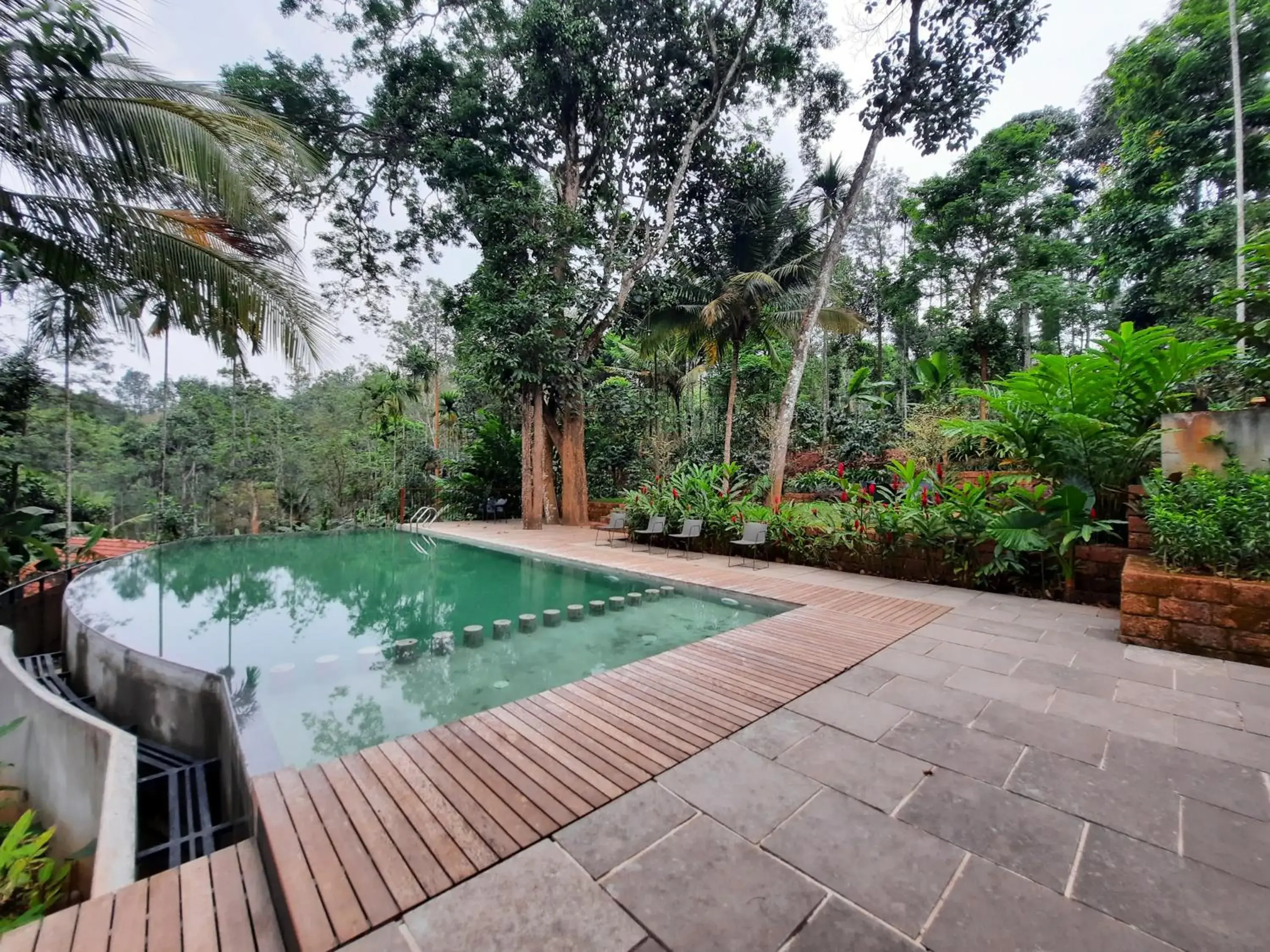 Swimming pool in Willow Resorts Wayanad Swimming pool in Willow Resorts Wayanad