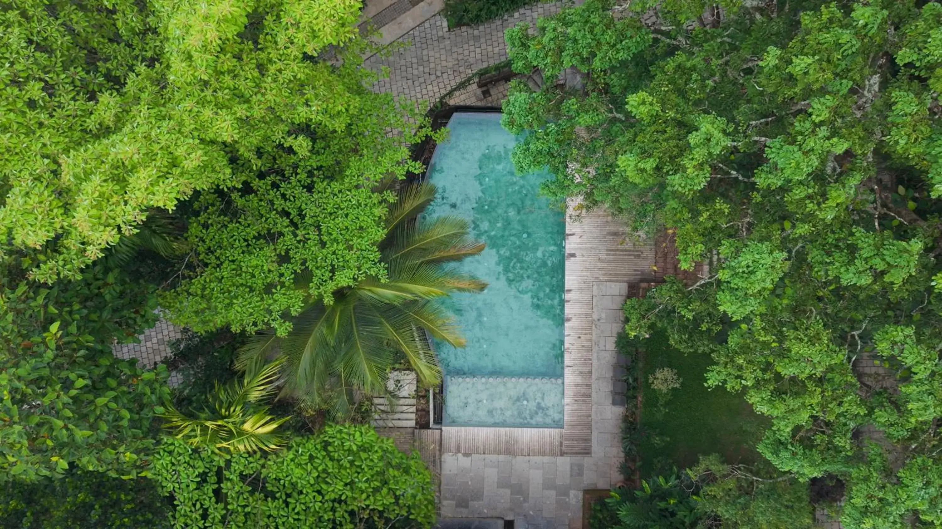 Willow Resorts Wayanad Willow Resorts Wayanad