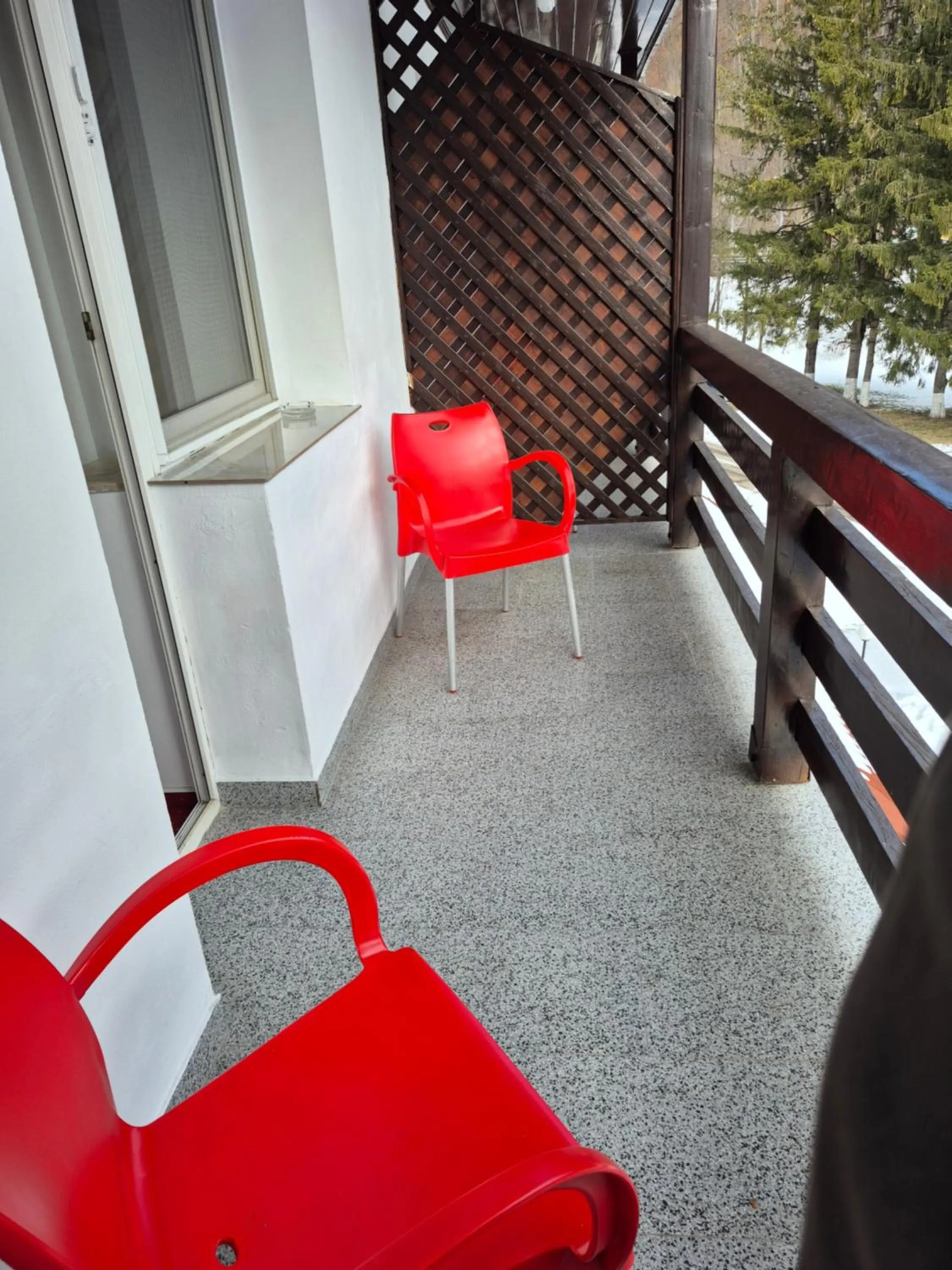 Balcony/Terrace in Cristal Sinaia