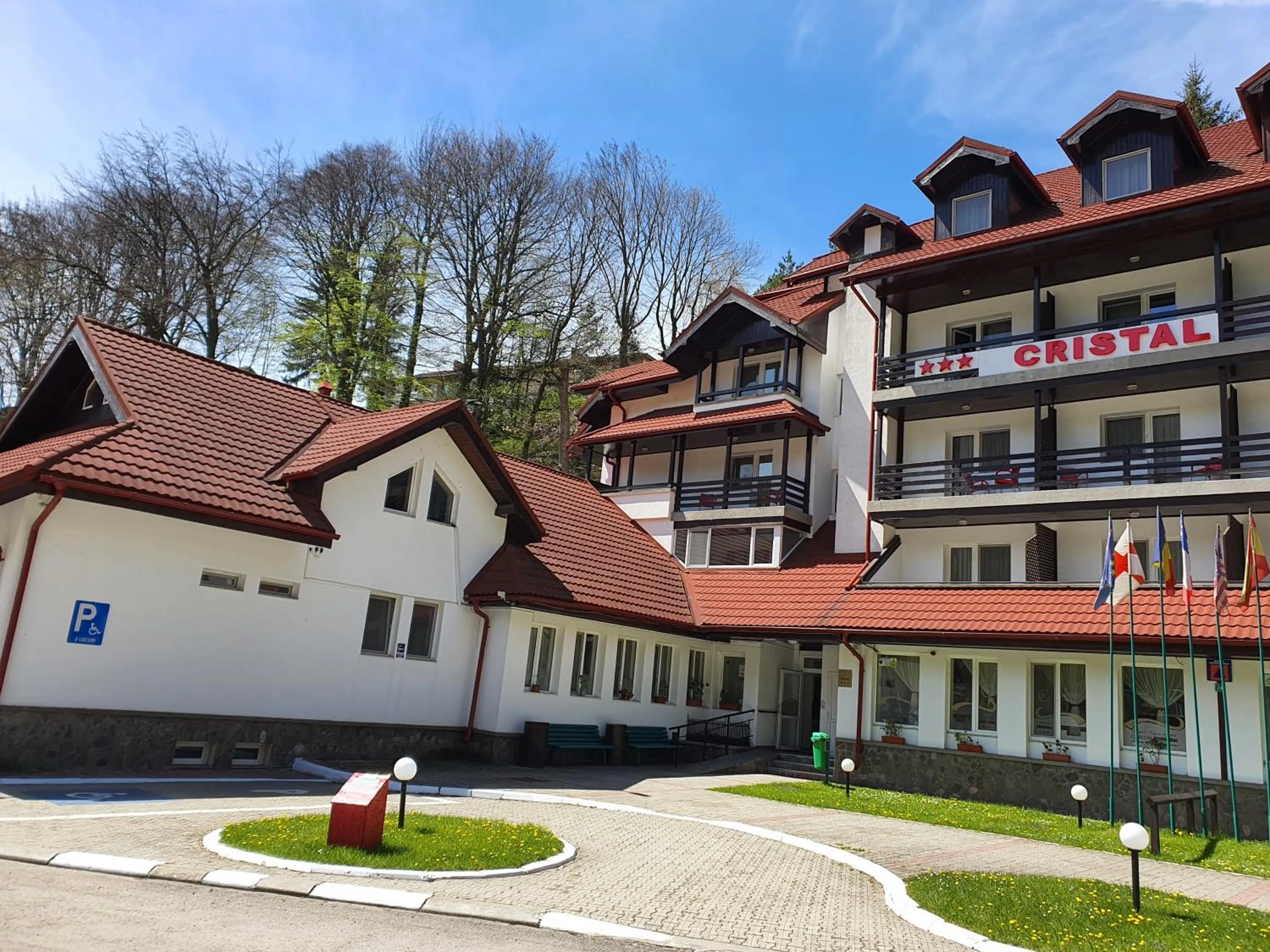 Property building in Cristal Sinaia