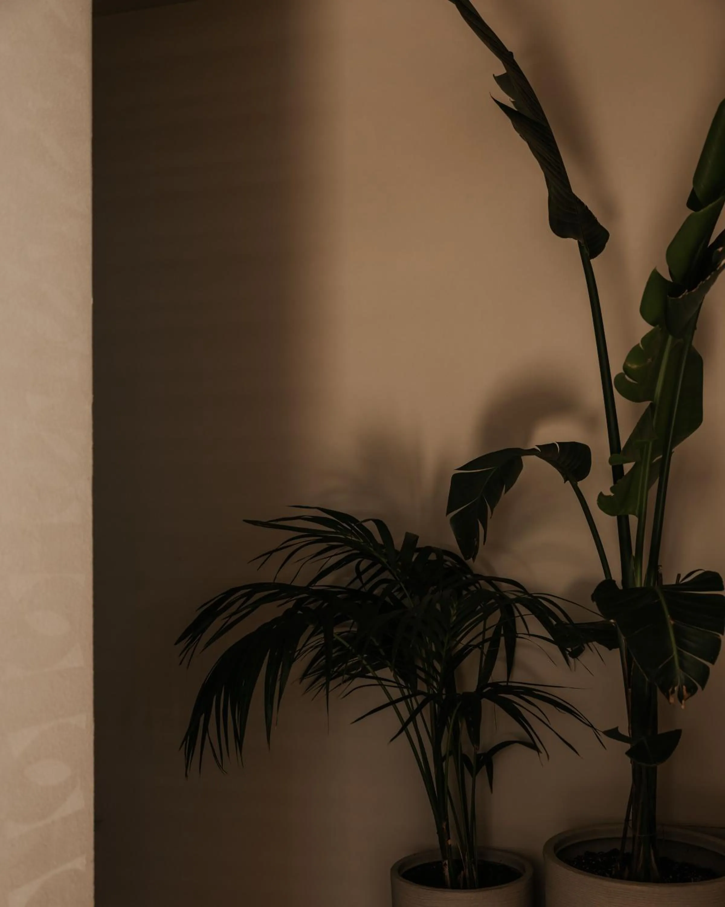 Property building in AMÉNTE Mindful Stay