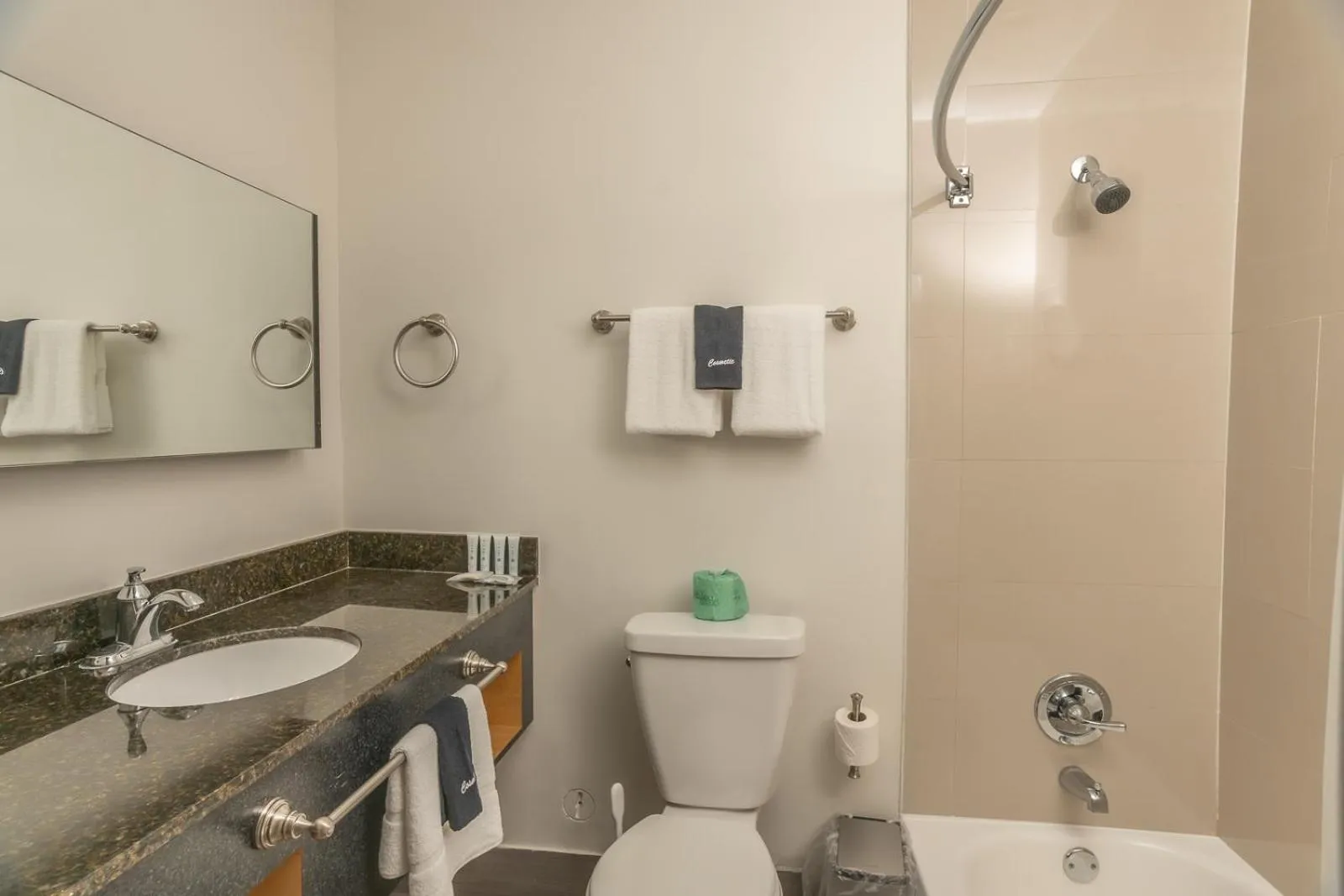 Toilet in The Biscayne Hotel