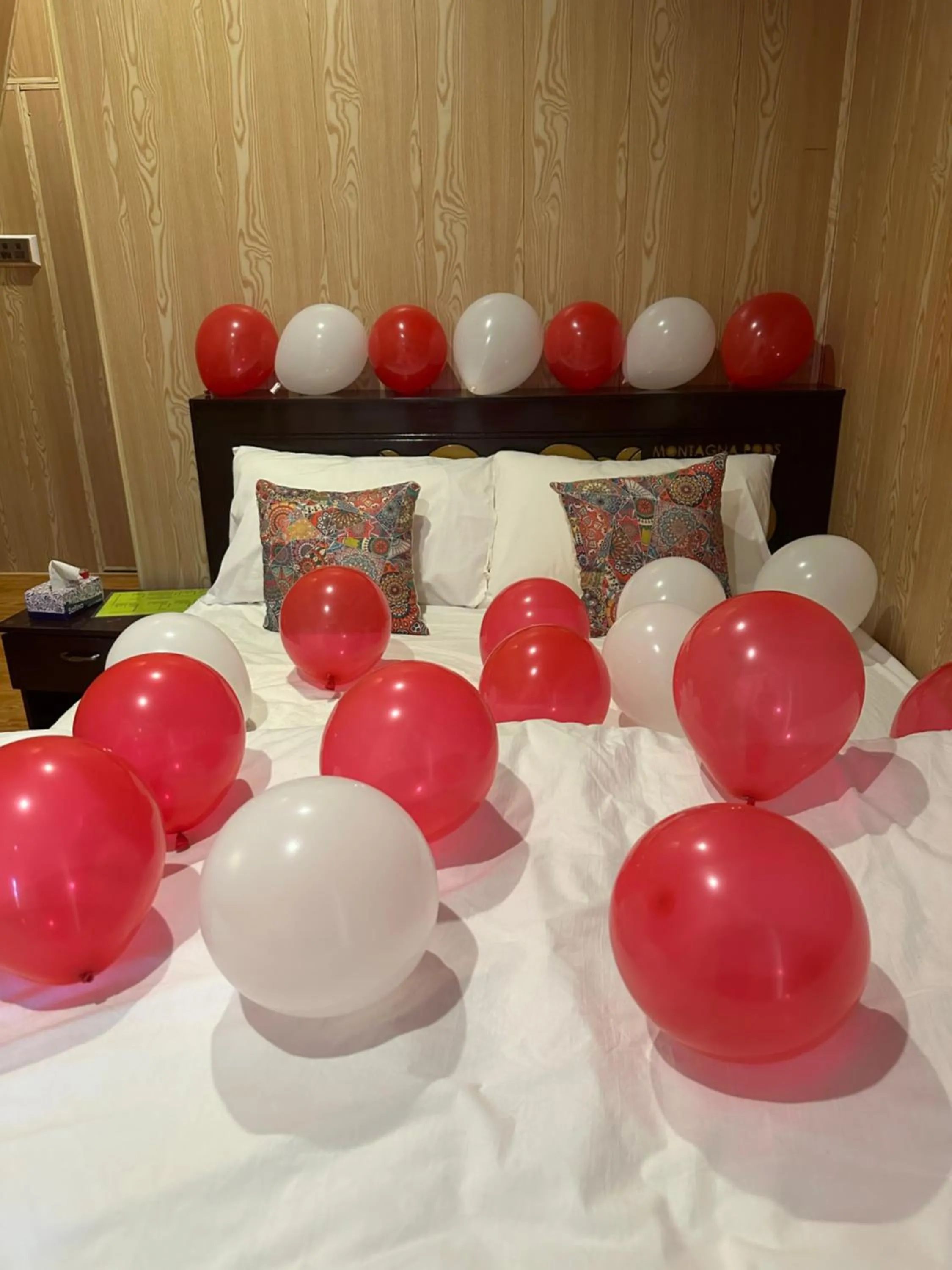 Bedroom, Bed in MONTAGNA PODS,Best resort in skardu , Best Guest house In skardu