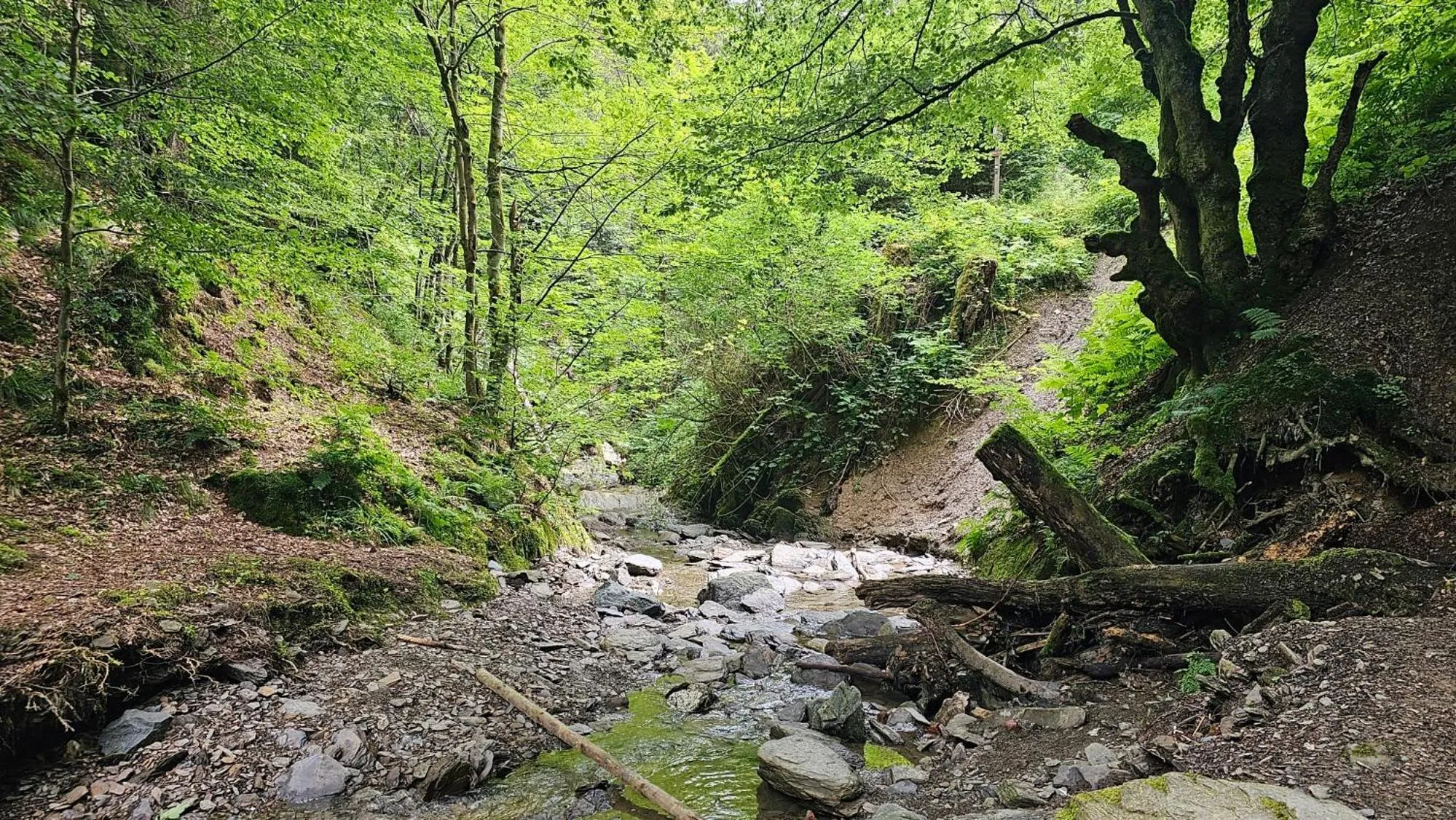 Vakantiehuisje Winterberg