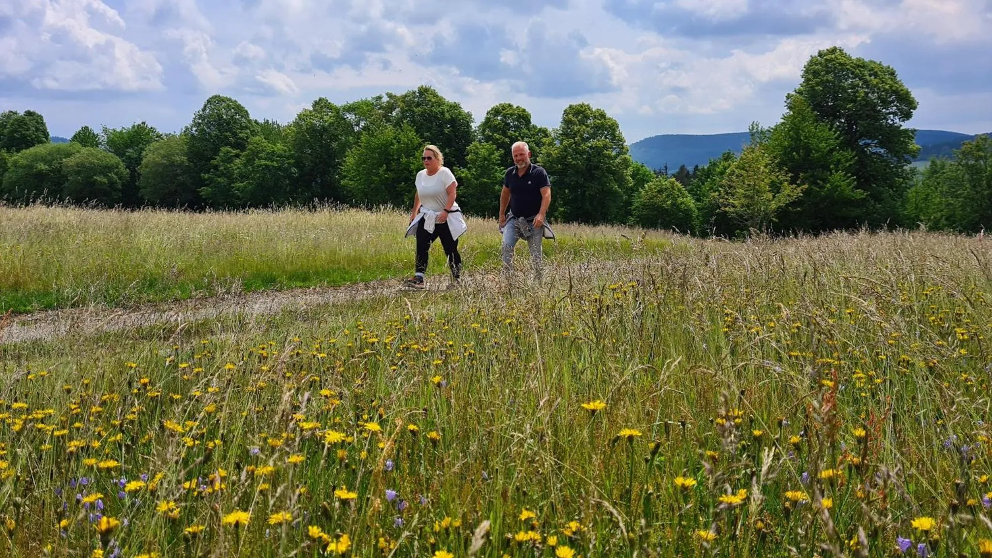 Hiking in Vakantiehuisje Winterberg