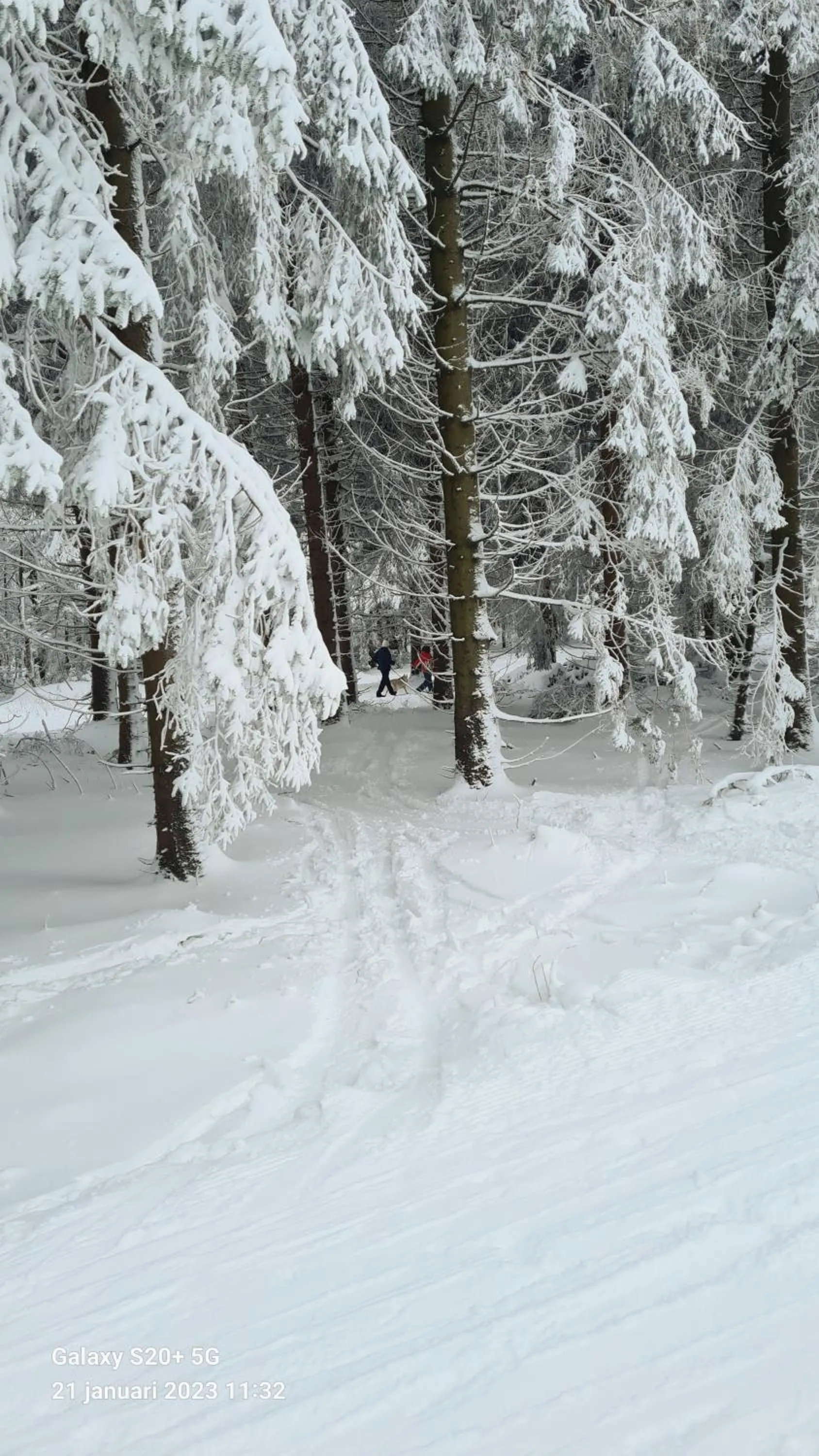 Vakantiehuisje Winterberg