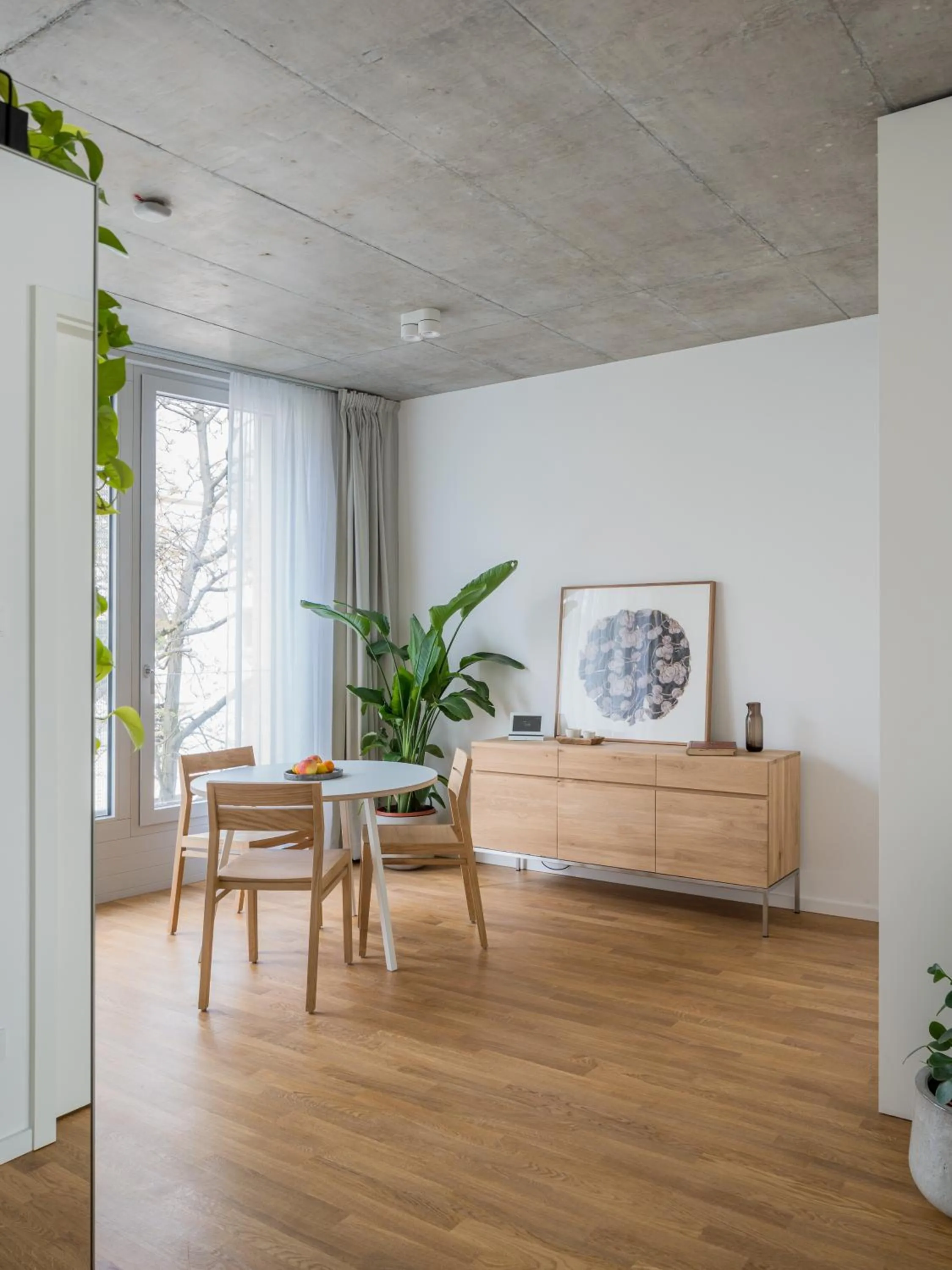 Living room in Carlotta Apartments