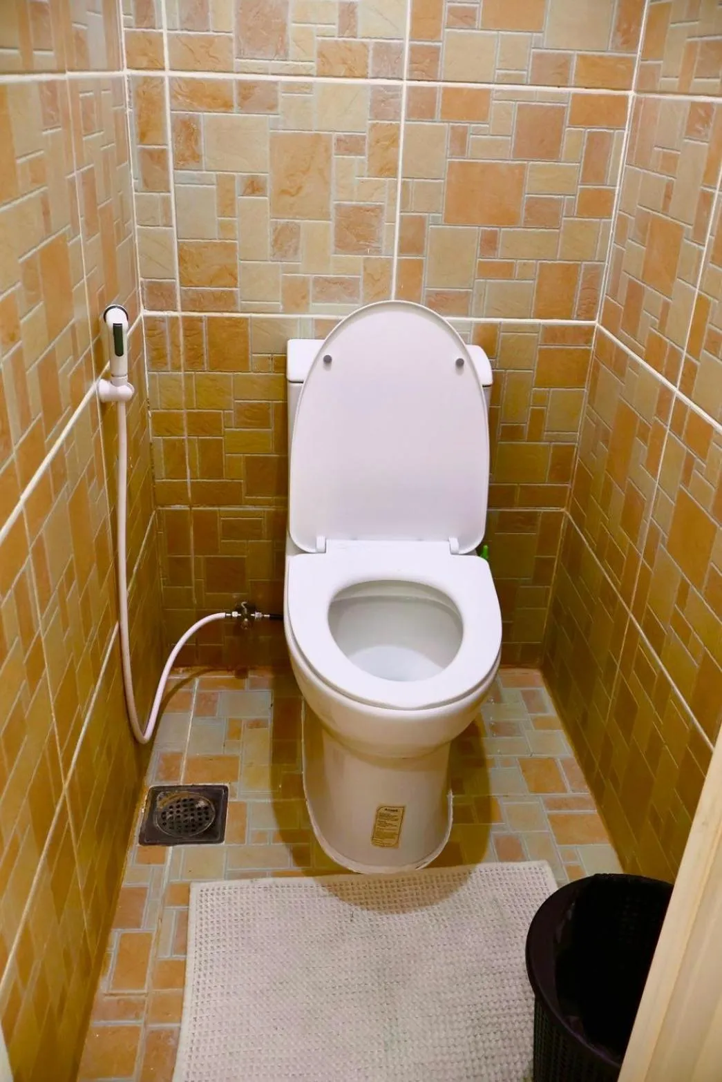 Toilet in CHIISAI NATSU RESORT
