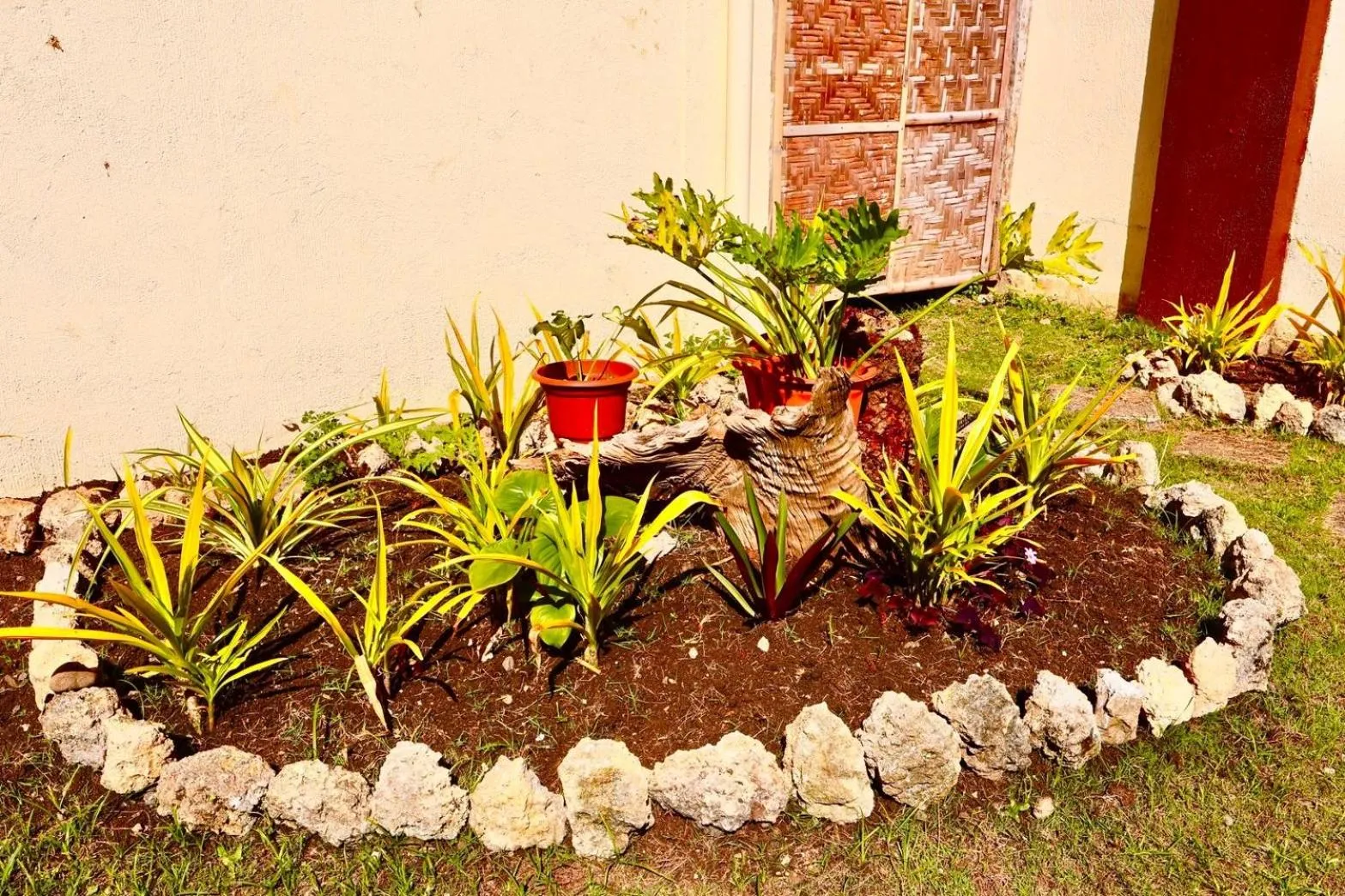 Garden in CHIISAI NATSU RESORT