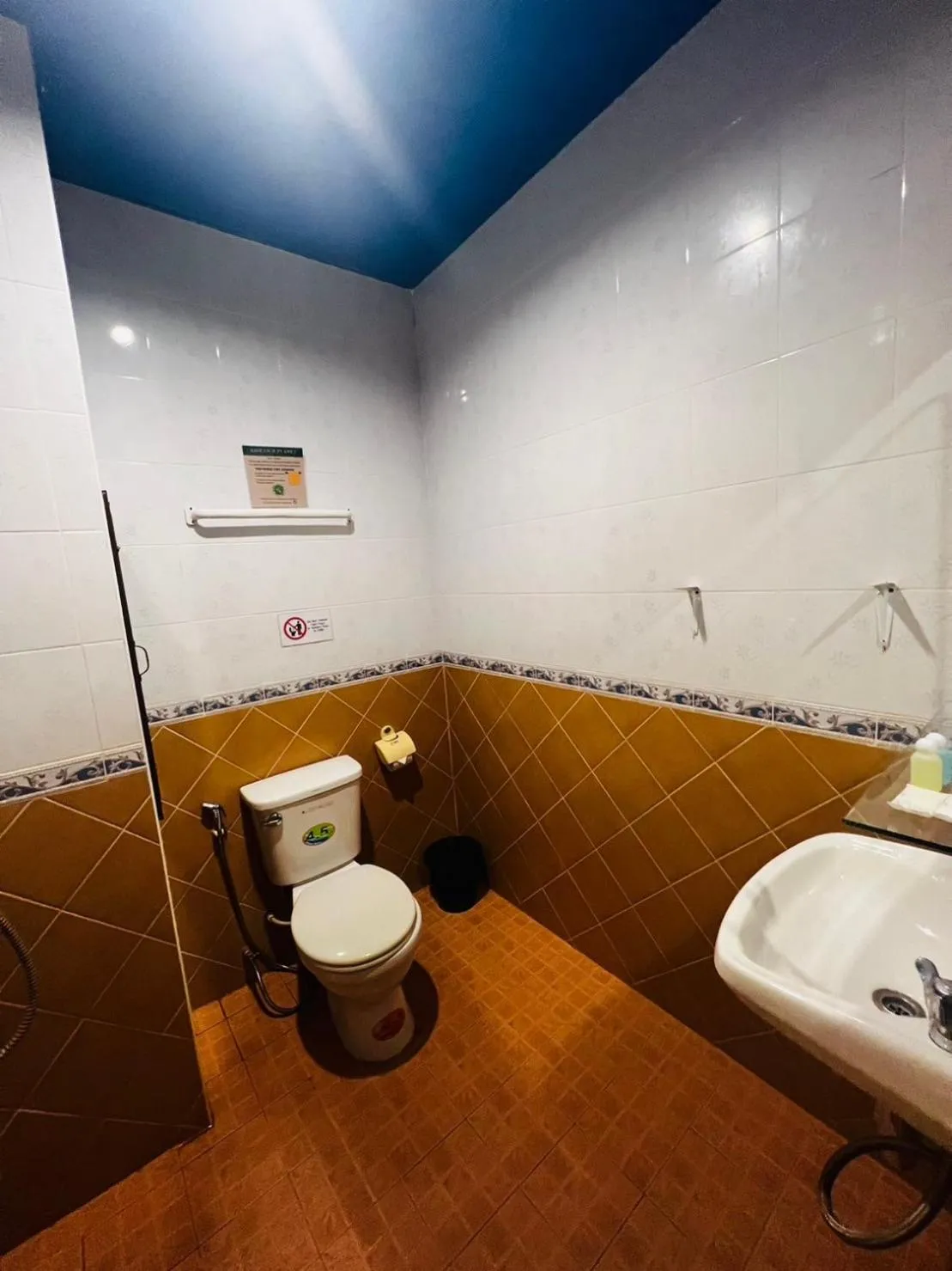 Toilet in Blue Planet Hotel