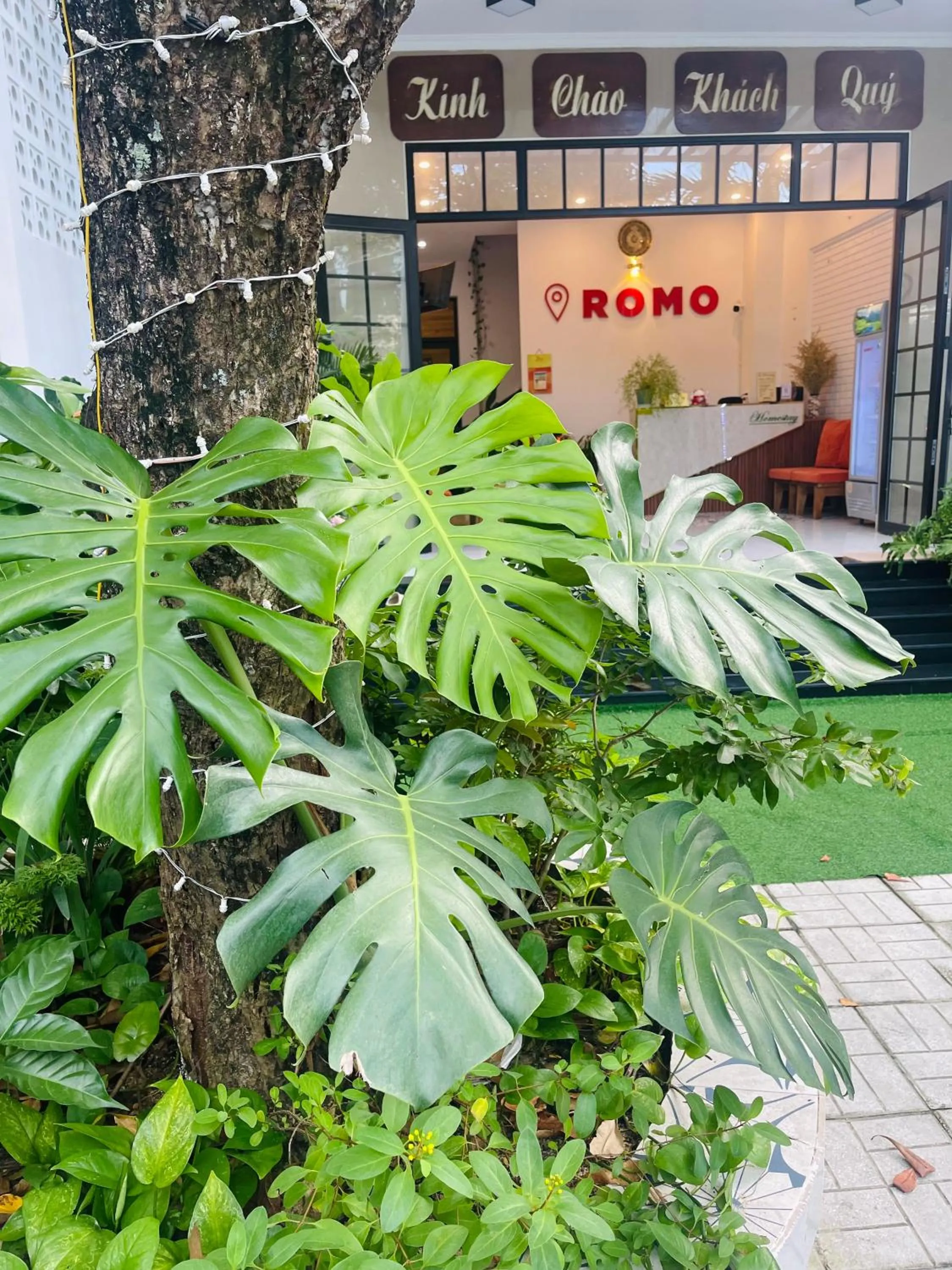 Garden in Romo Homestay