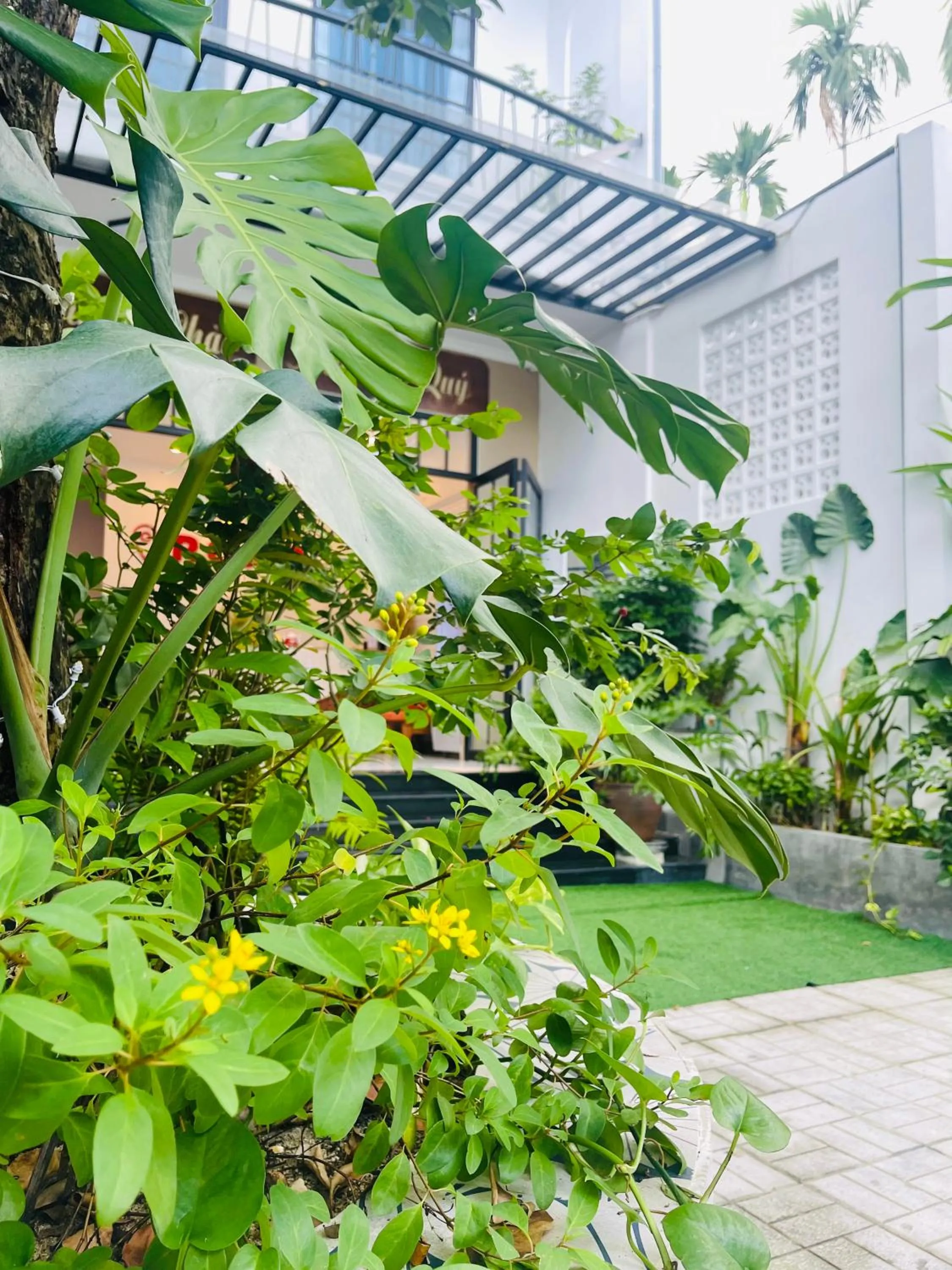 Garden in Romo Homestay