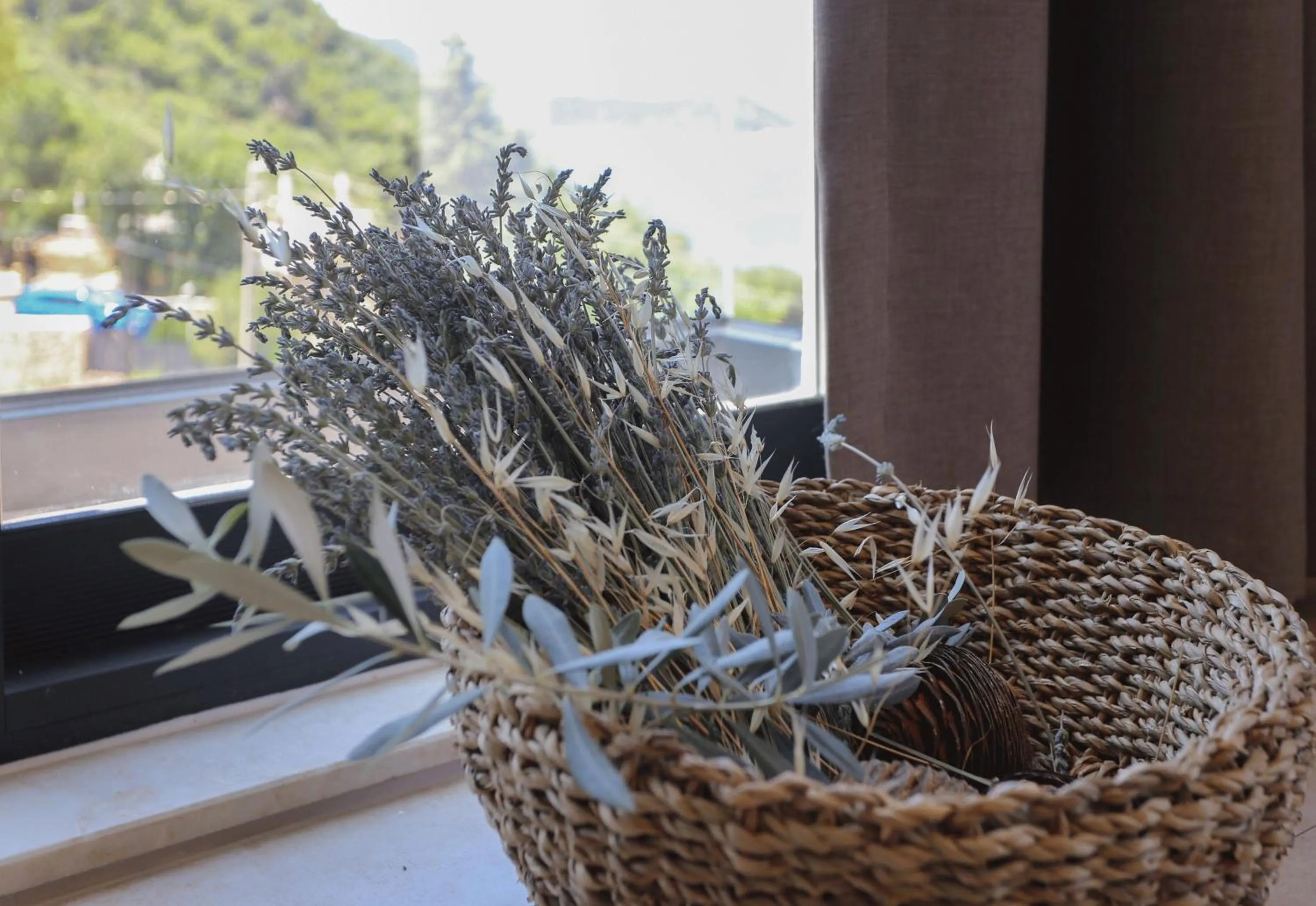 Day in Kaktus Suites