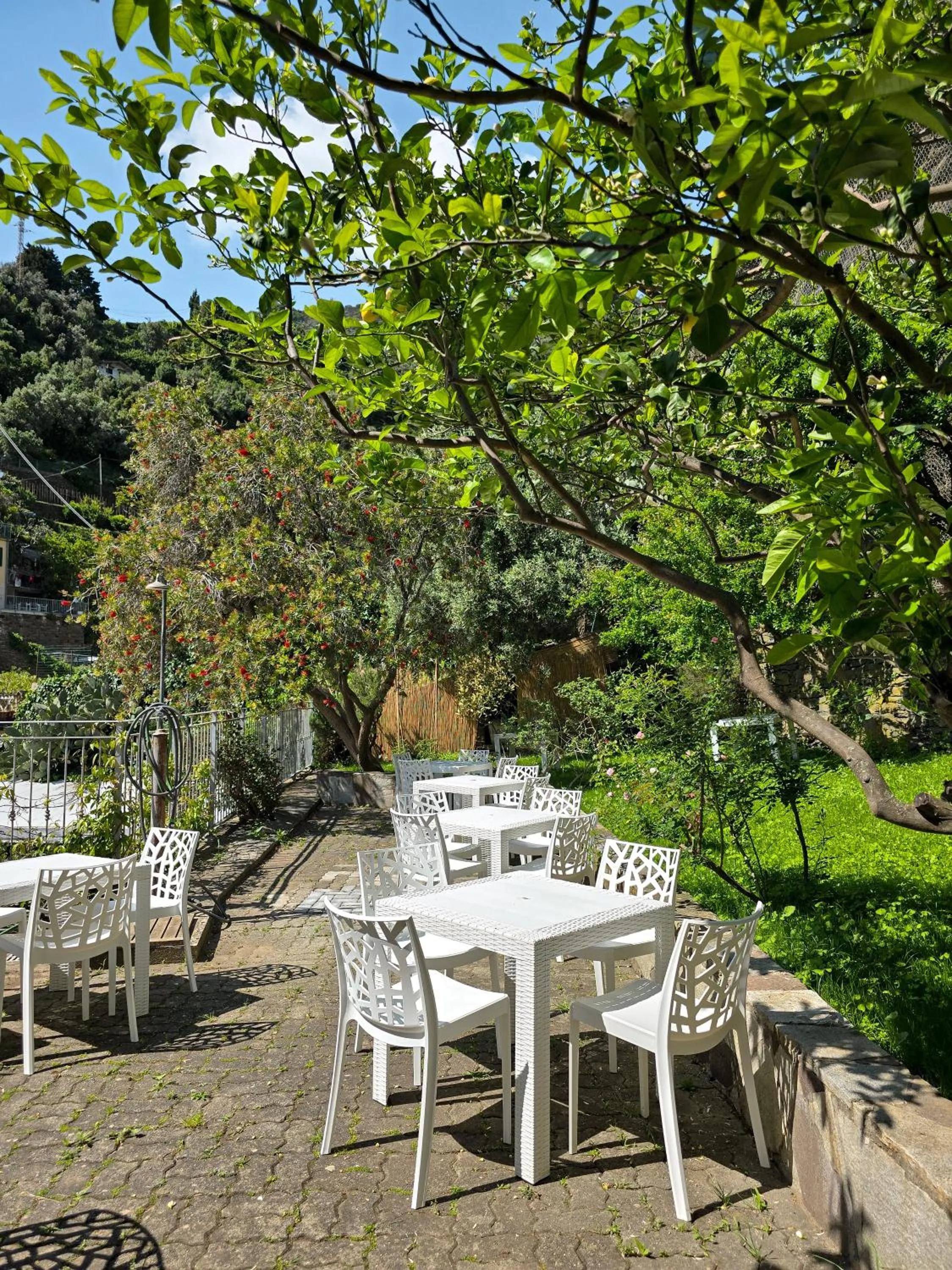 Garden in Pensione Sorriso