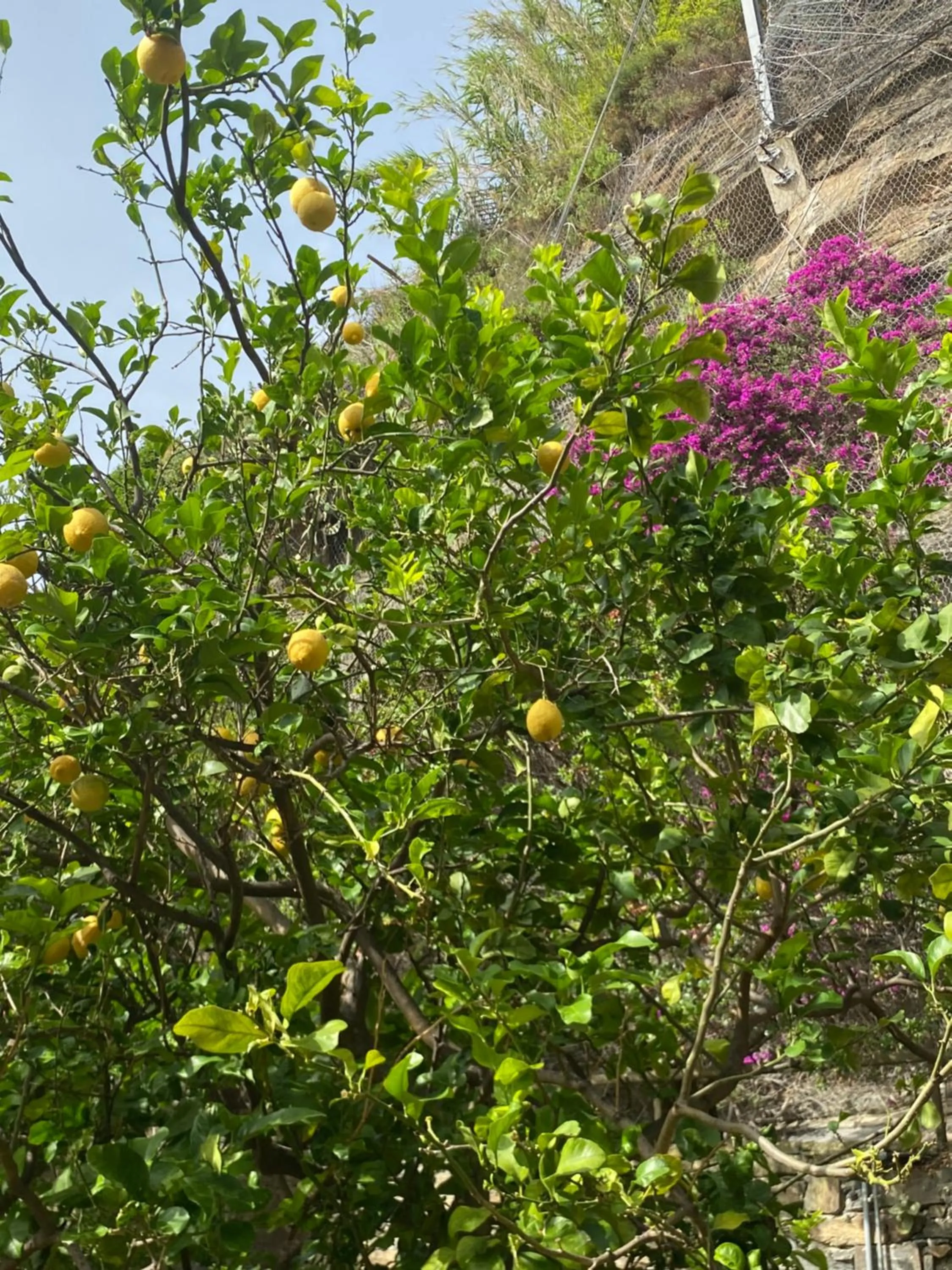 Day in Pensione Sorriso