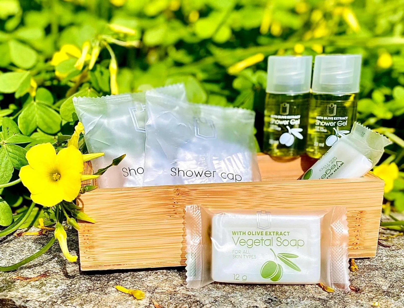 Garden in Pensione Sorriso