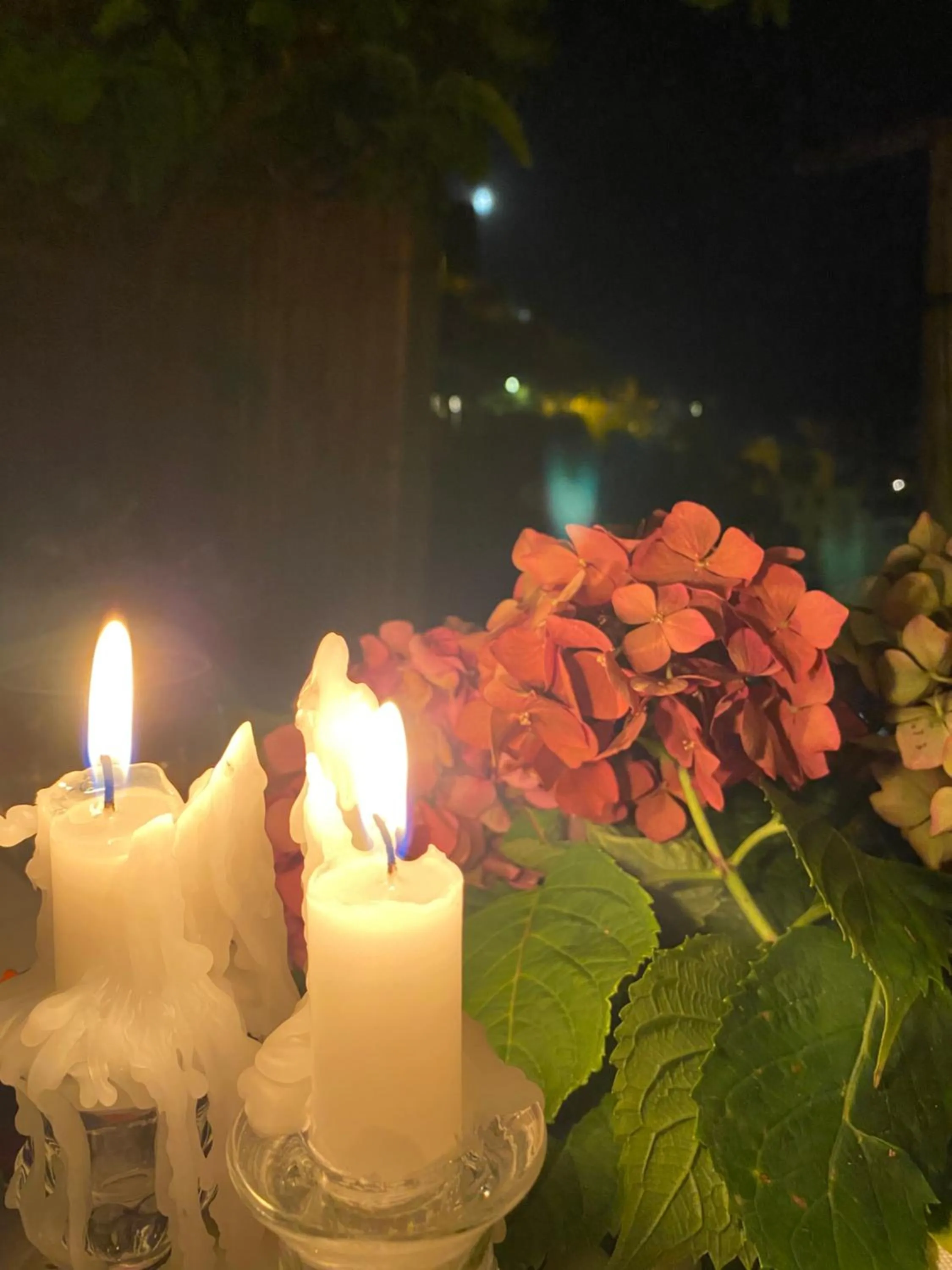 Garden in Pensione Sorriso