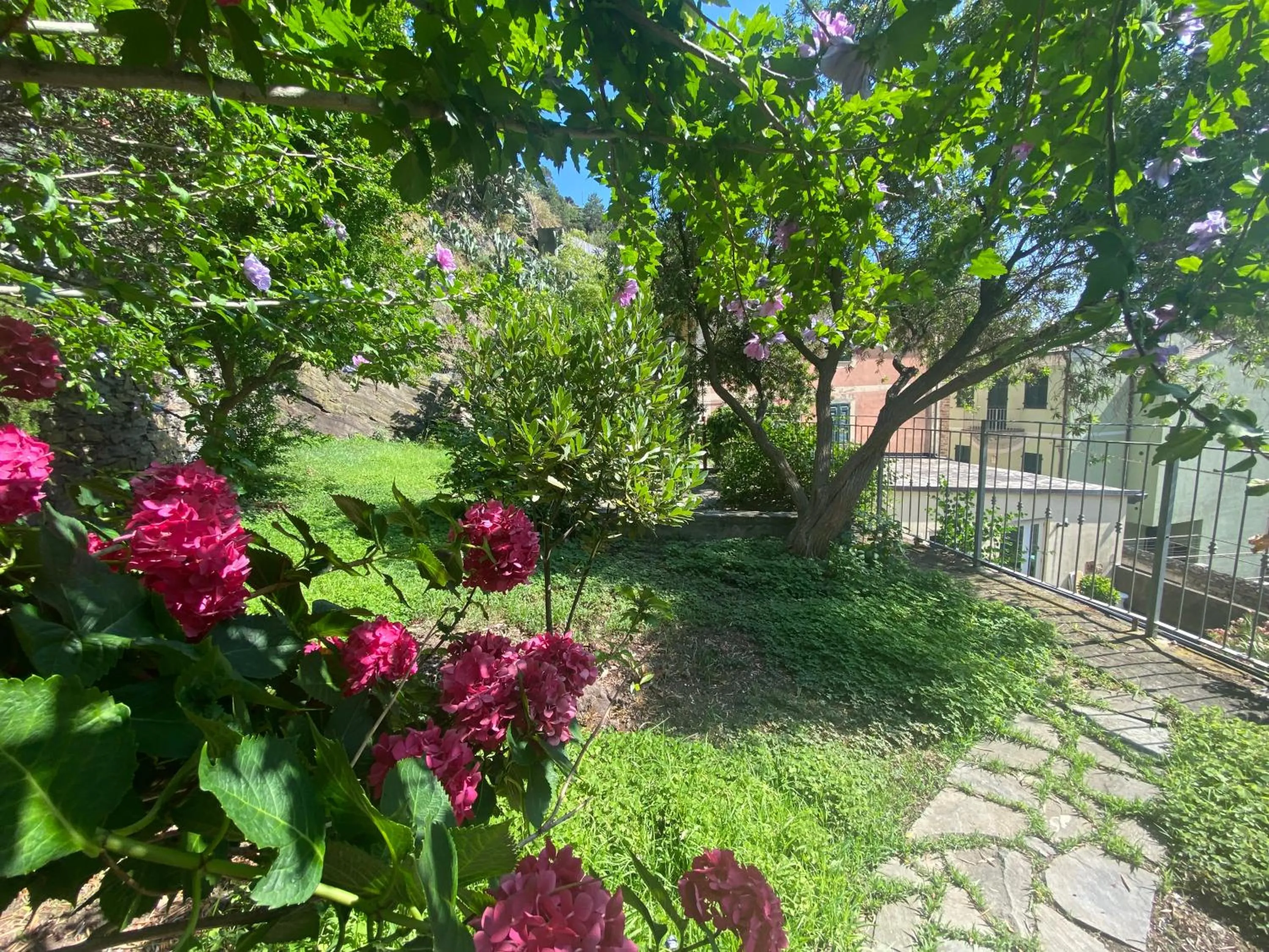 Natural landscape in Pensione Sorriso