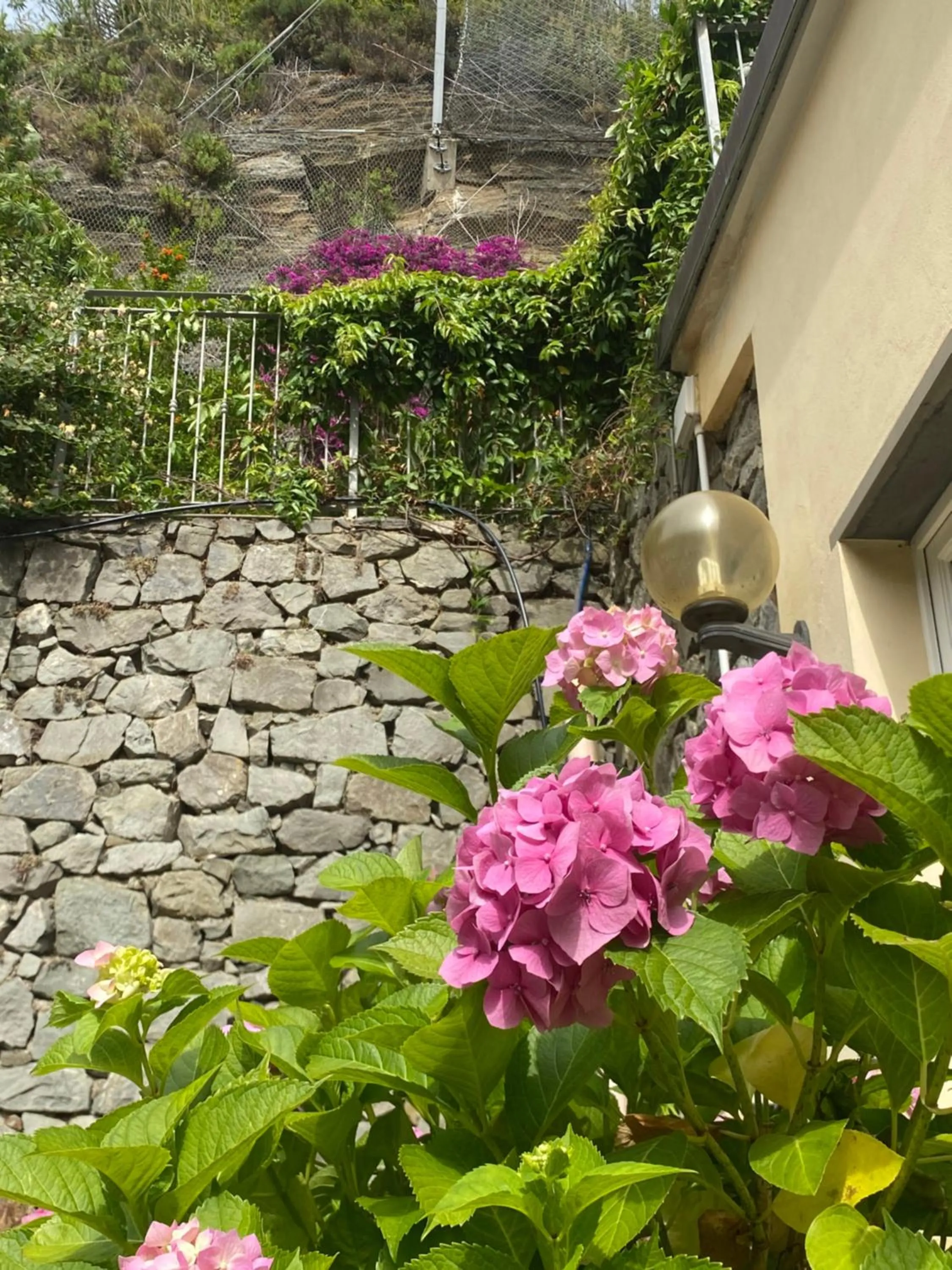 Garden in Pensione Sorriso