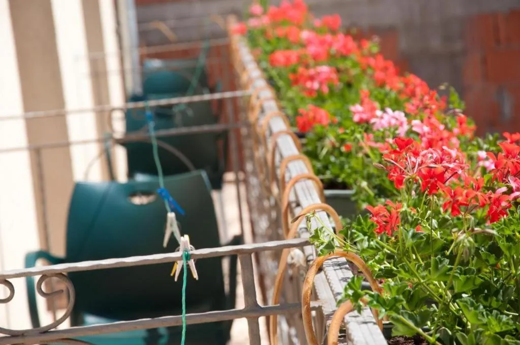 Property building in Vila Alma