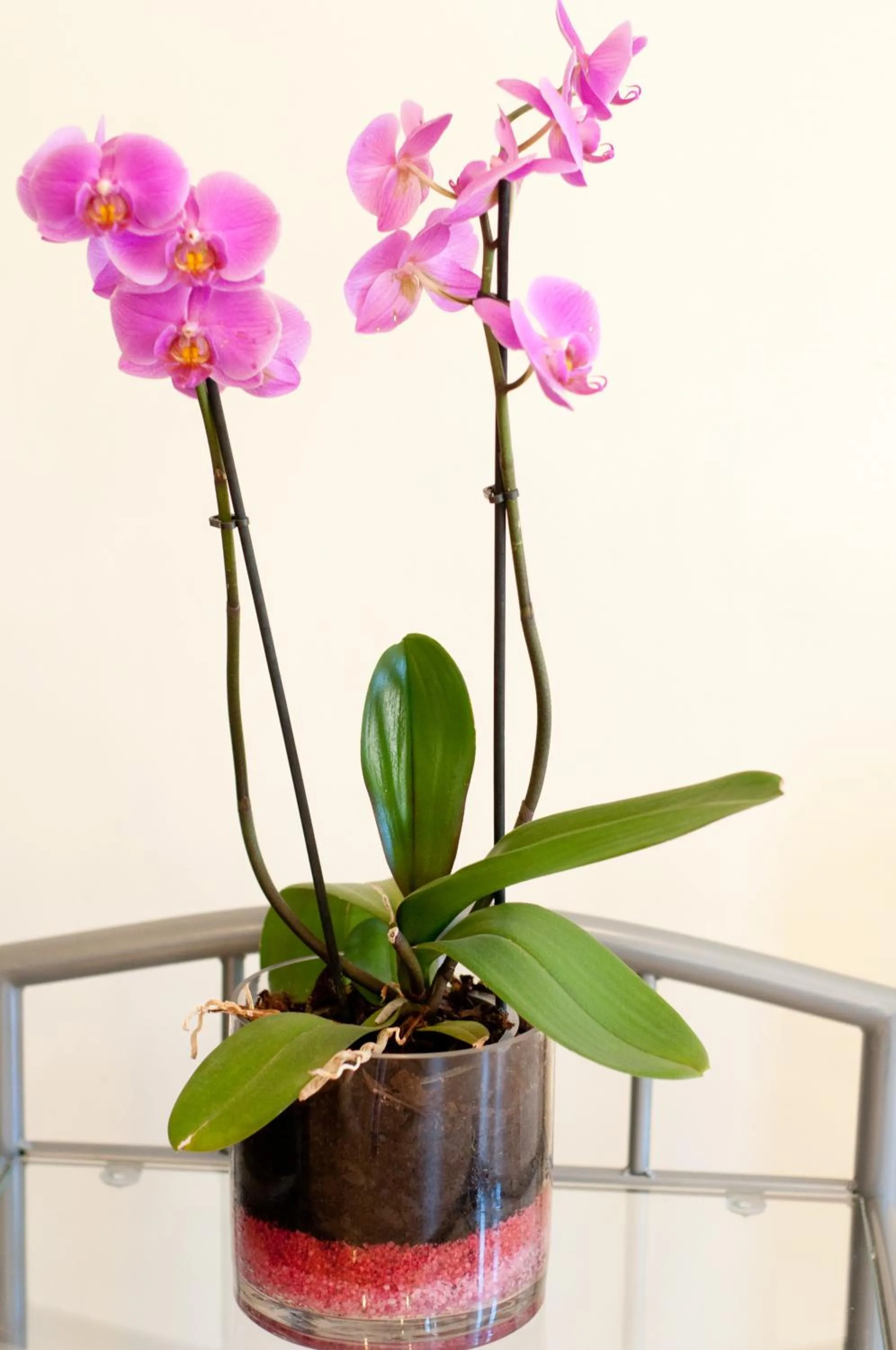 Property building in Vila Alma