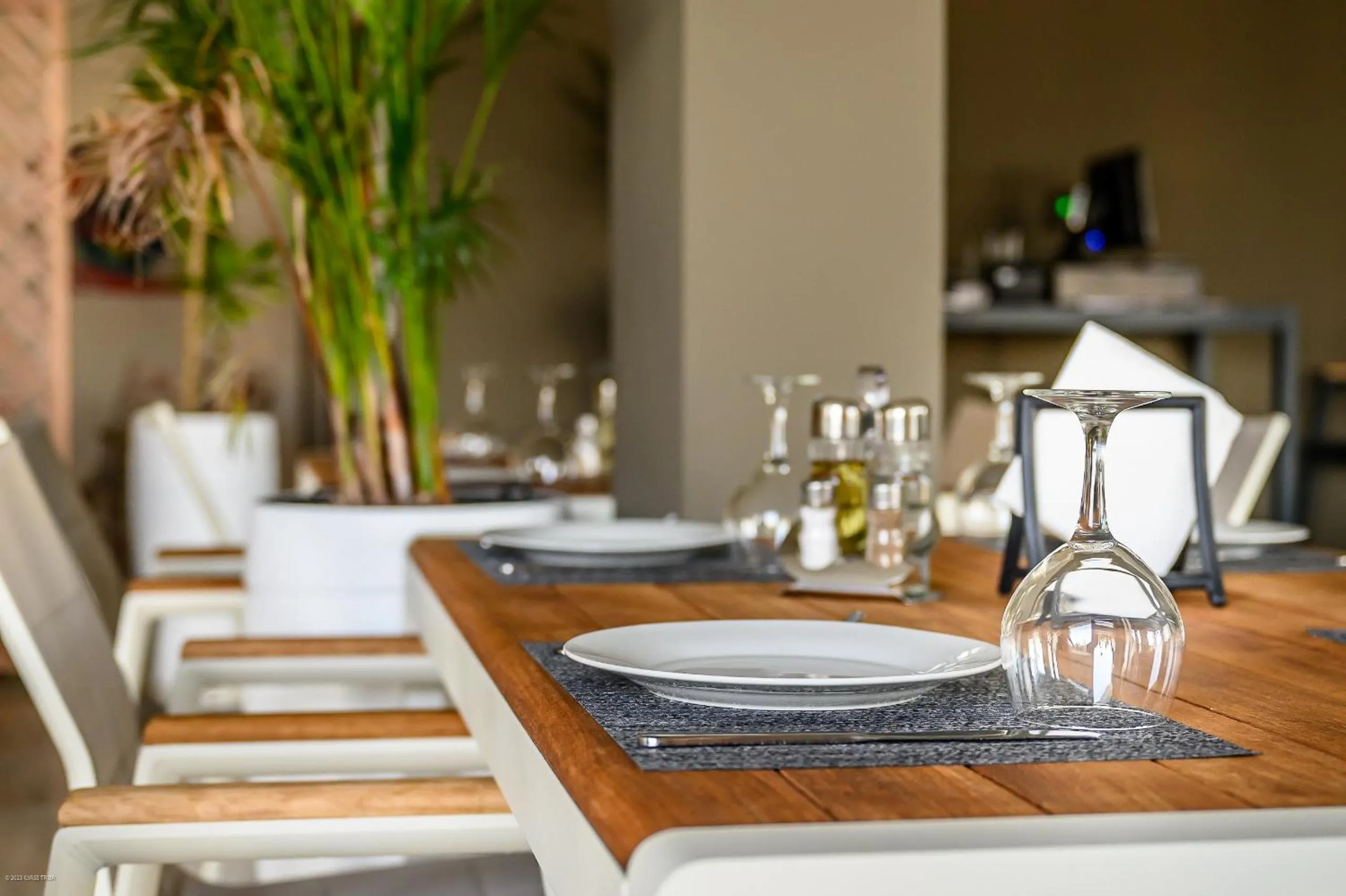 Restaurant/places to eat in PLAYA DEL PACHA Suites Hotel