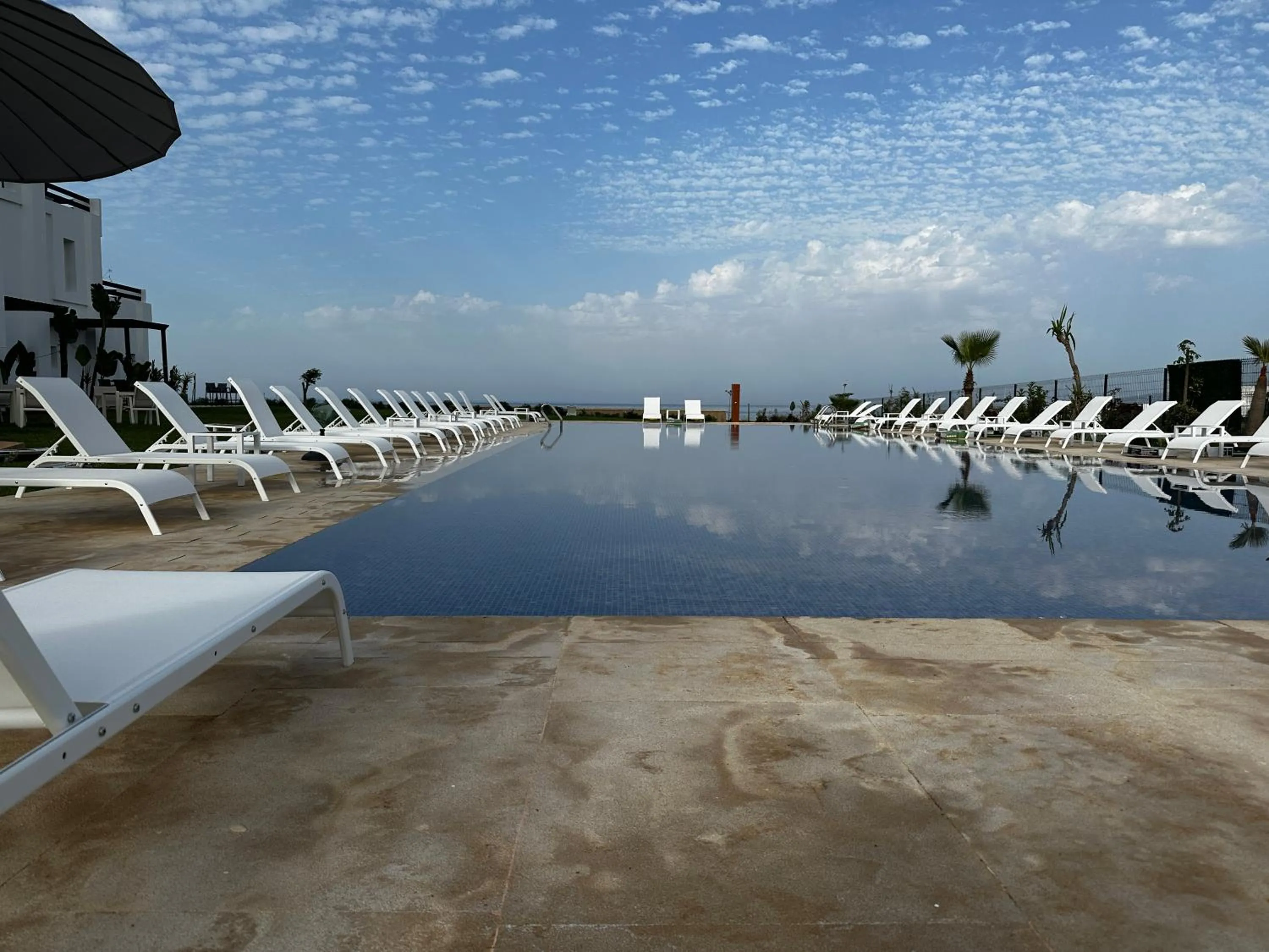 sunbed in PLAYA DEL PACHA Suites Hotel