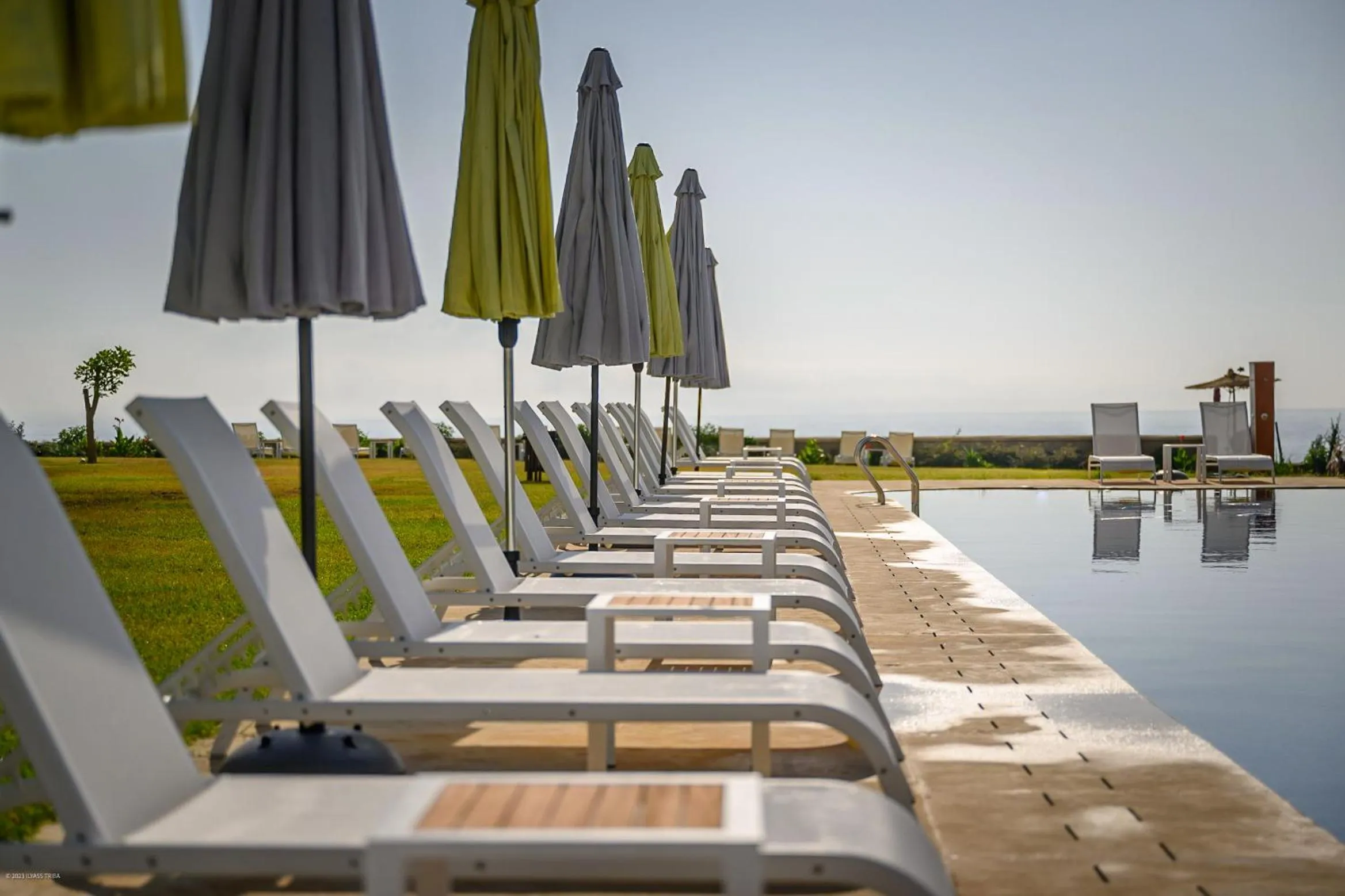 sunbed in PLAYA DEL PACHA Suites Hotel