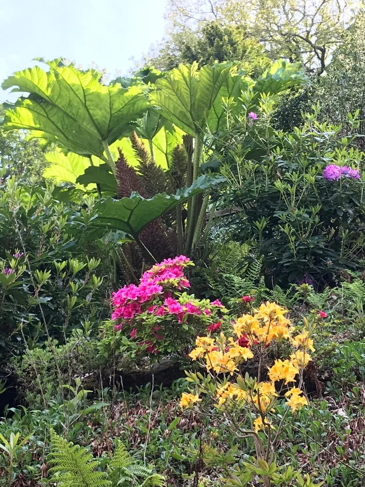 Property building in North Walk House