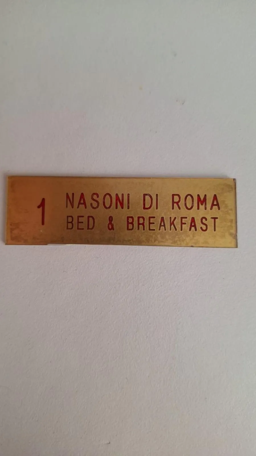 NASONI DI ROMA (VICINISSIMO BASILICA SAN GIOVANNI IN LATERANO)