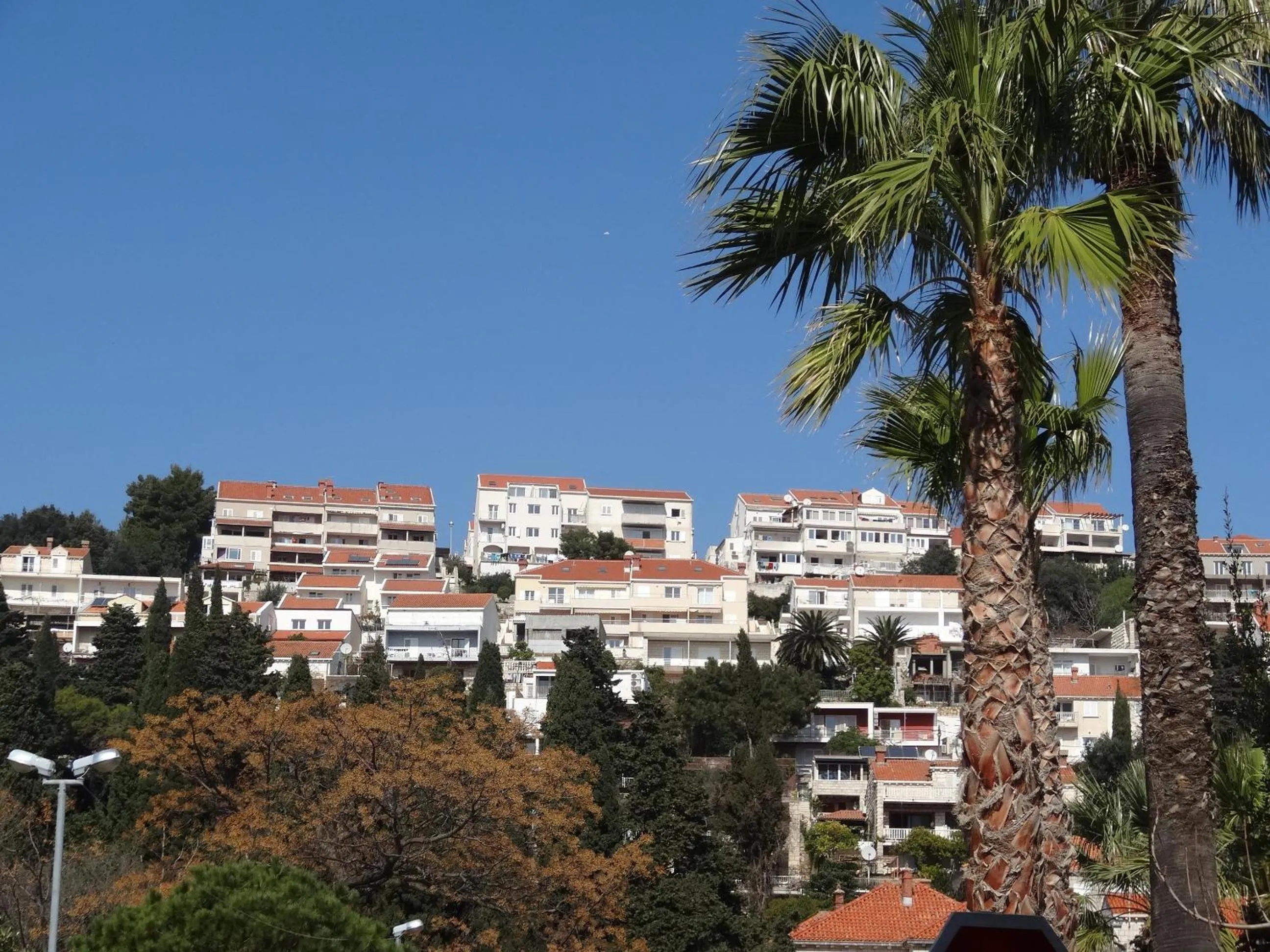 Property building in Apartments Roko