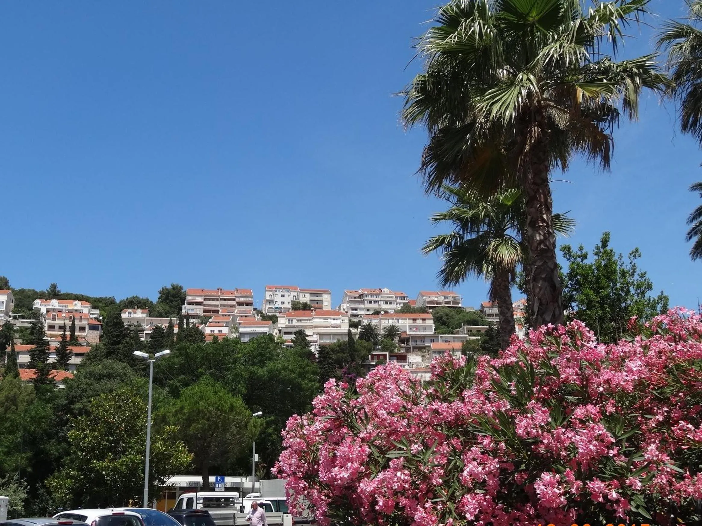 Off site in Apartments Roko