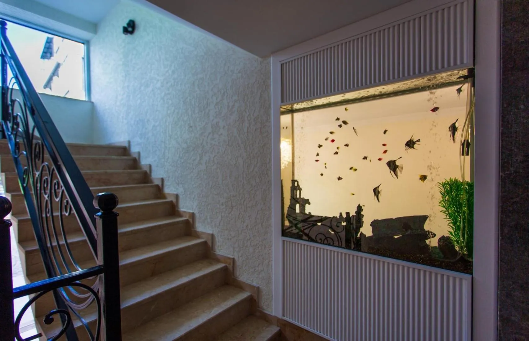 Area and facilities in Memory